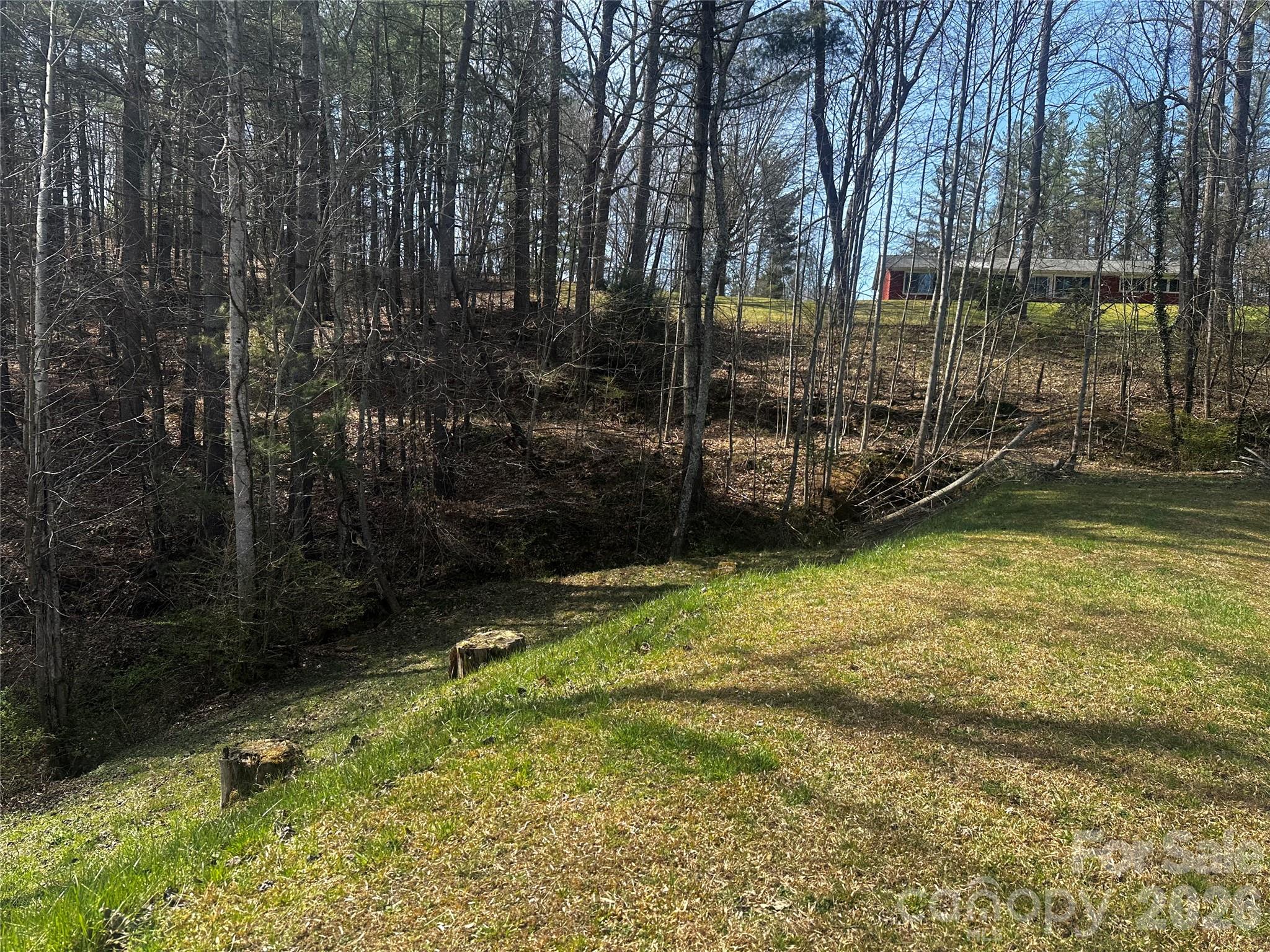 00 Saw Mill Hollow Burnsville NC 28714