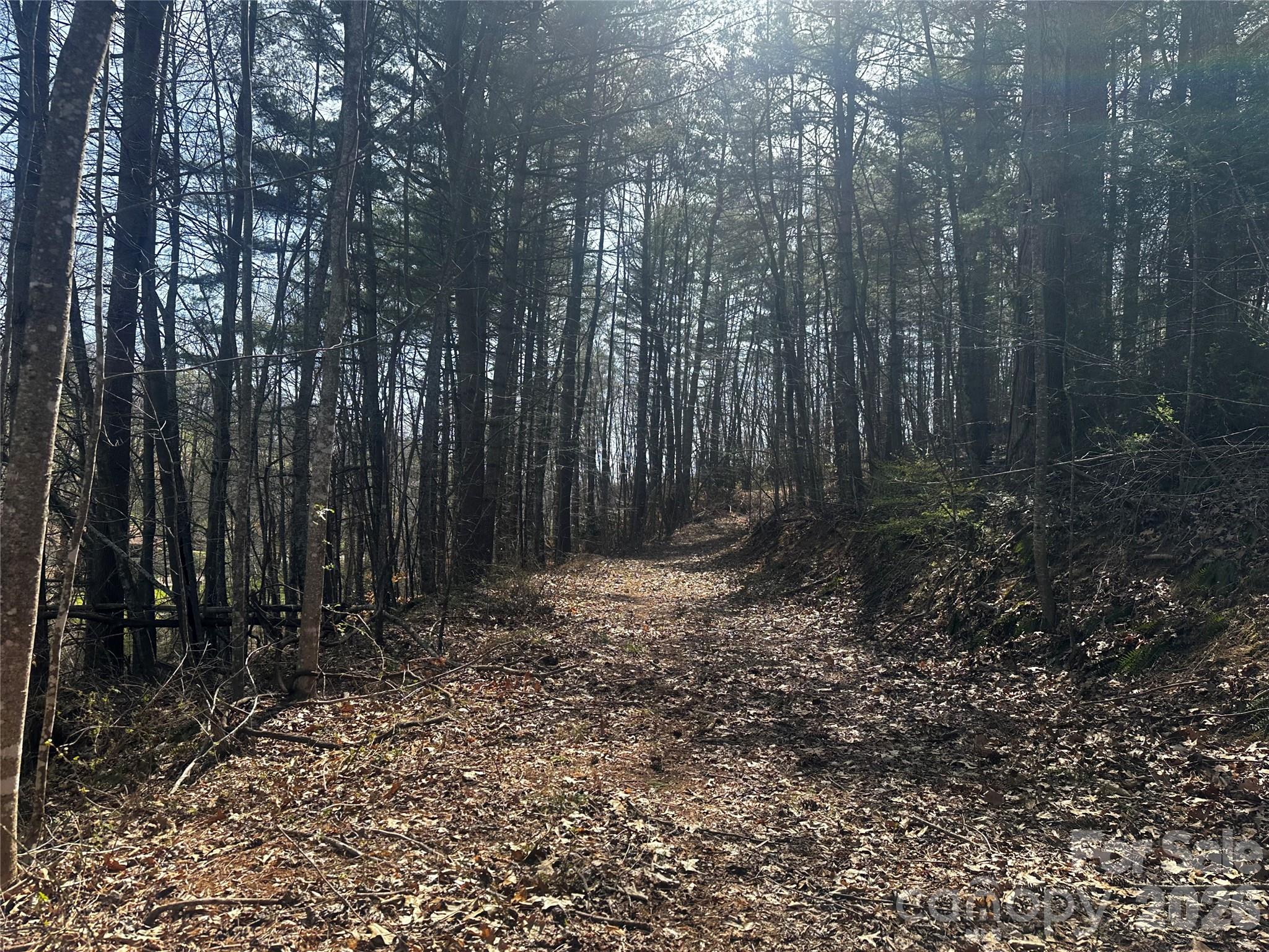 00 Saw Mill Hollow Burnsville NC 28714