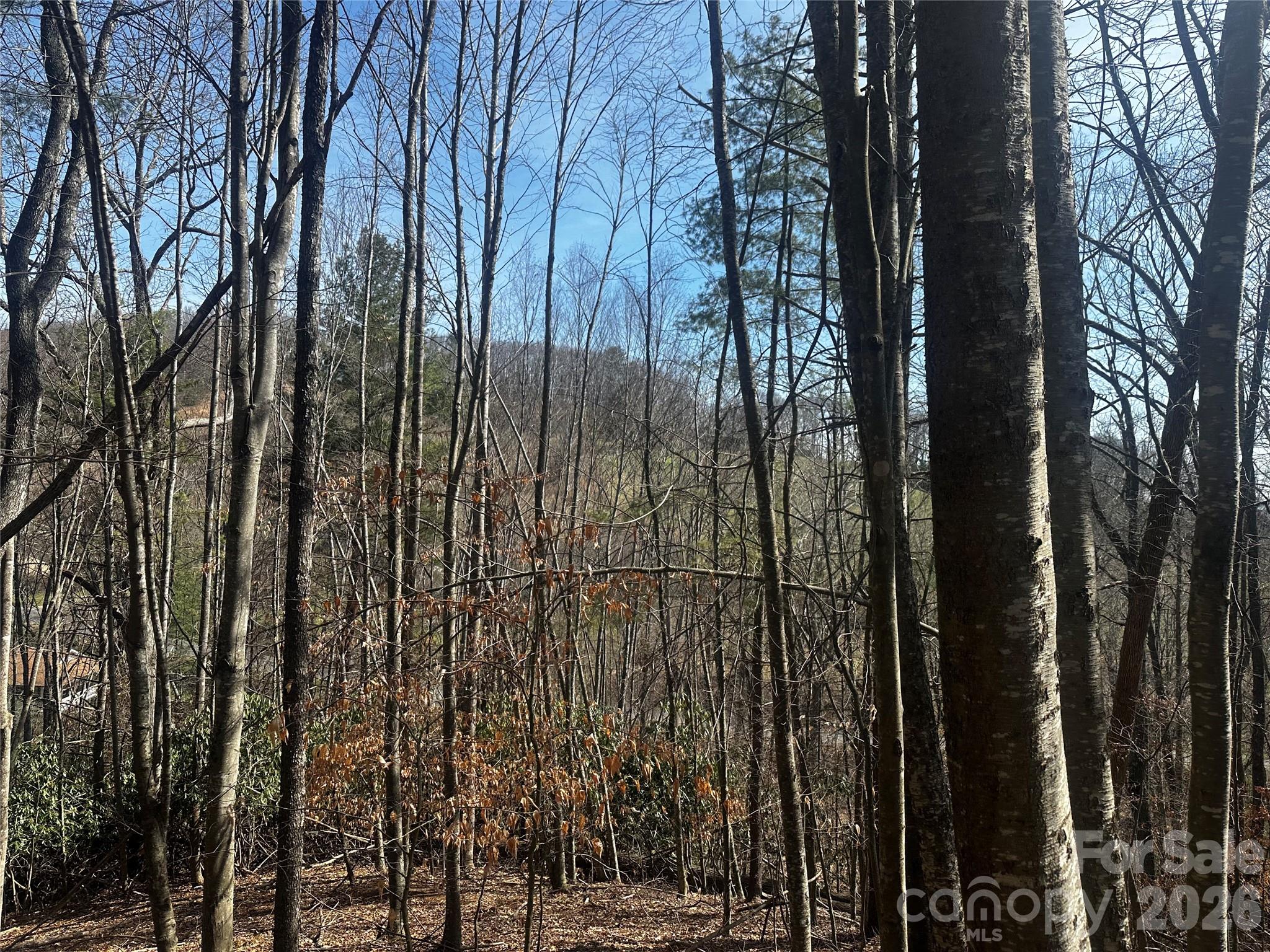 00 Saw Mill Hollow Burnsville NC 28714