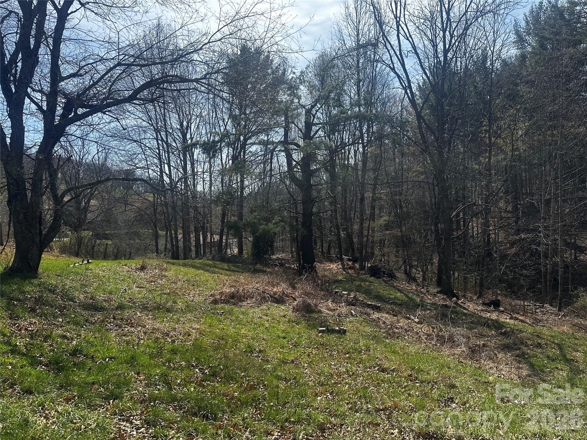 00 Saw Mill Hollow Burnsville NC 28714