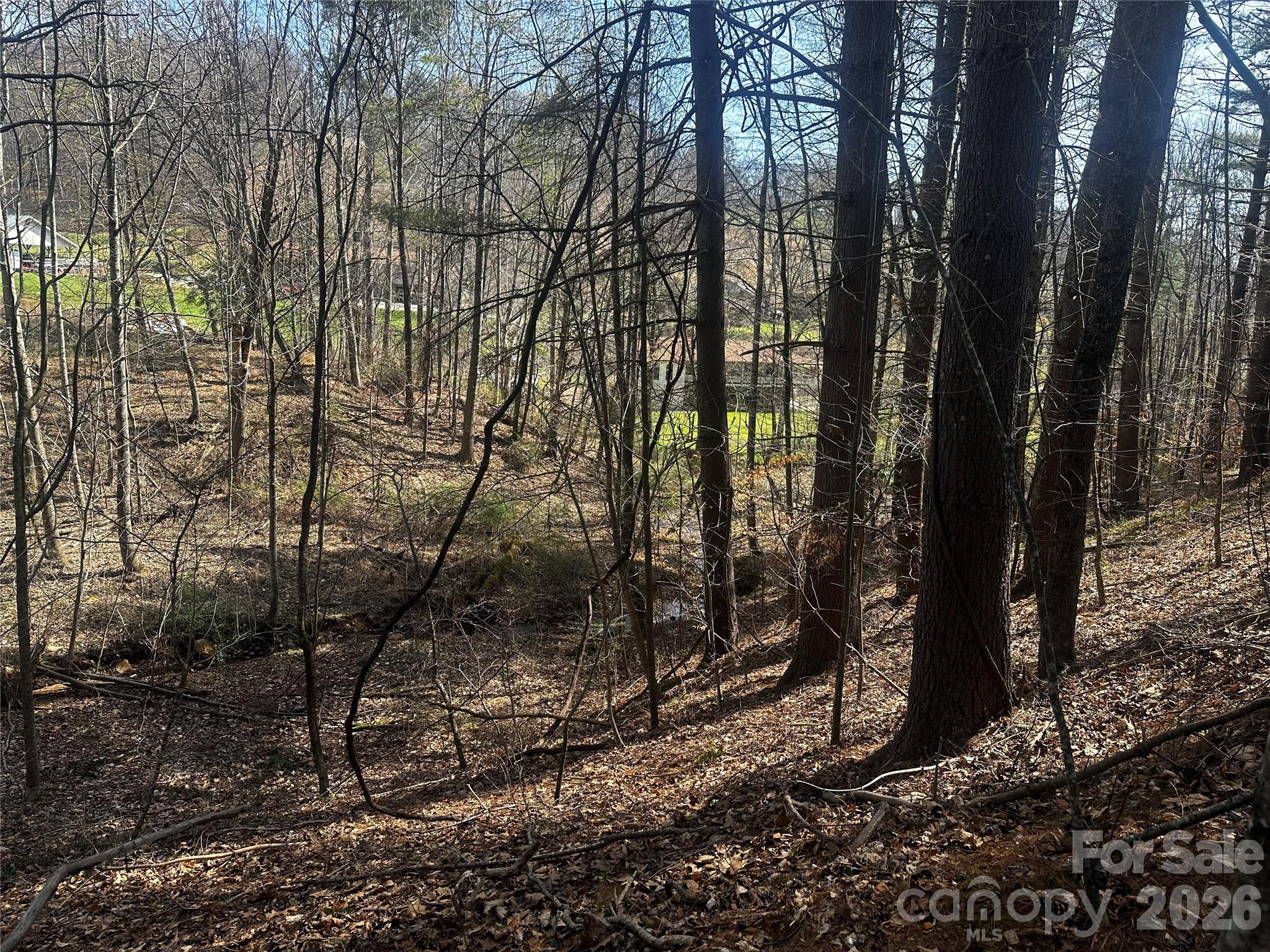 00 Saw Mill Hollow Burnsville NC 28714