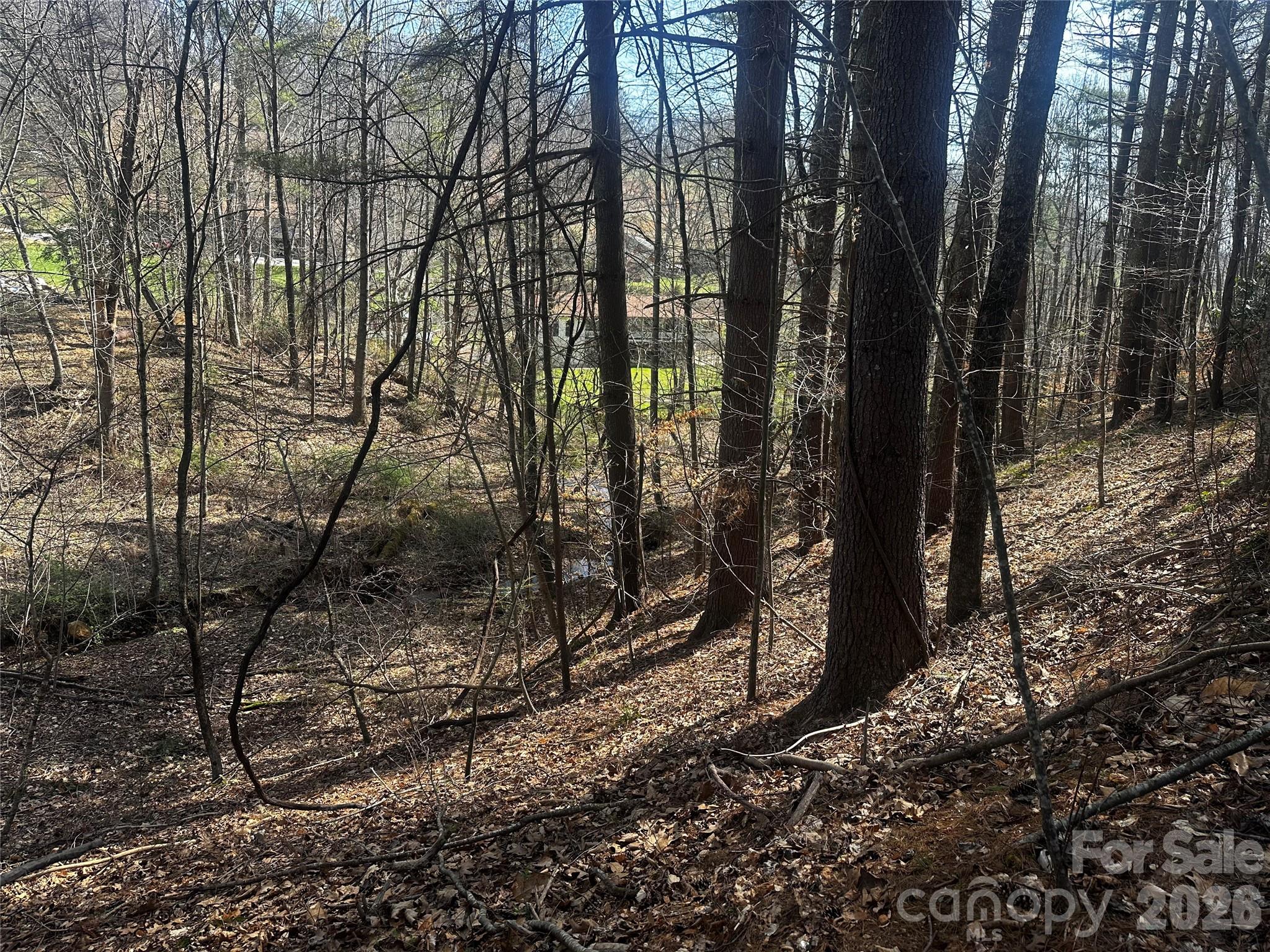 00 Saw Mill Hollow Burnsville NC 28714