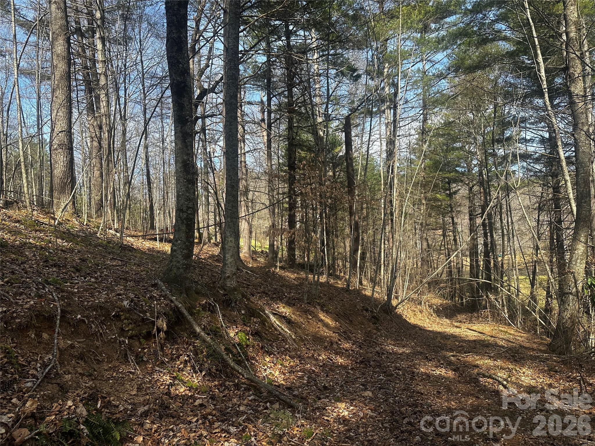 00 Saw Mill Hollow Burnsville NC 28714