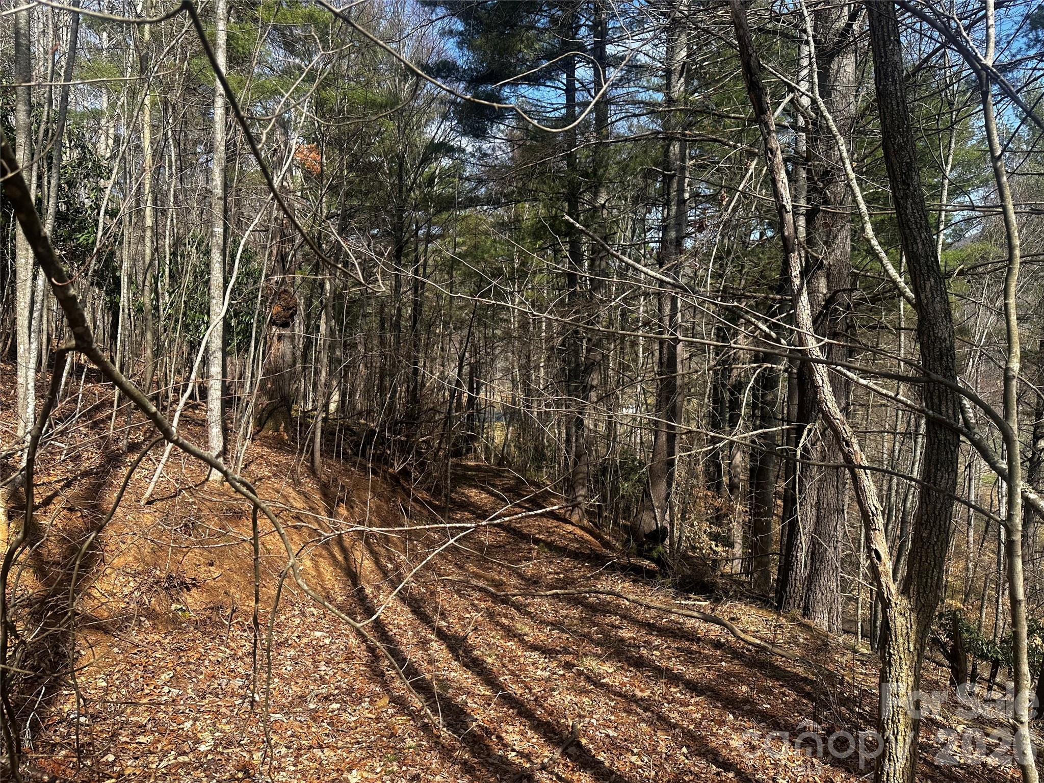 00 Saw Mill Hollow Burnsville NC 28714
