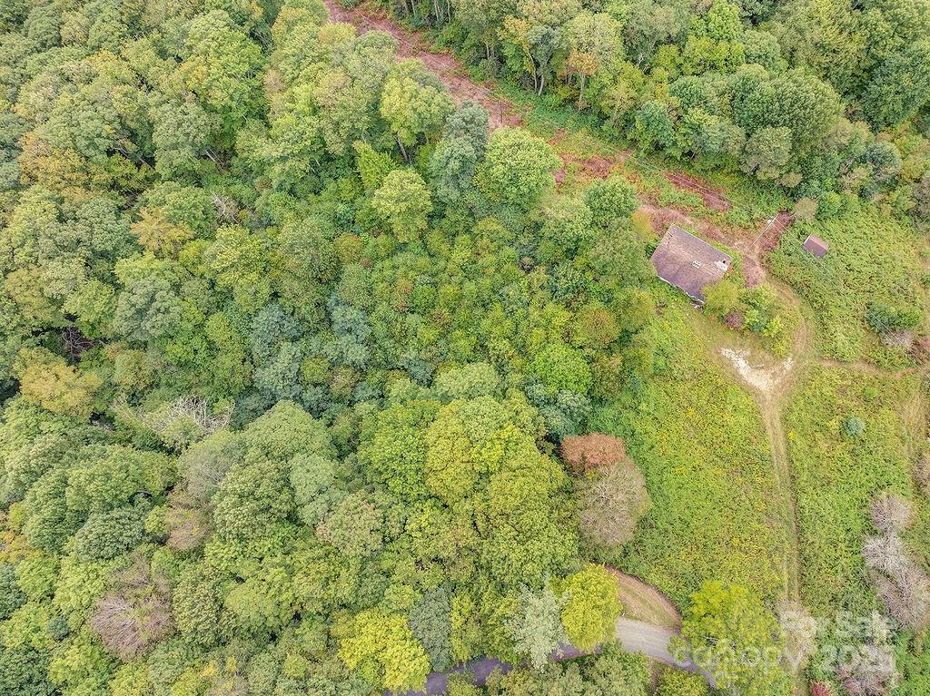 7130 Max Patch Road Hot Springs NC 28743