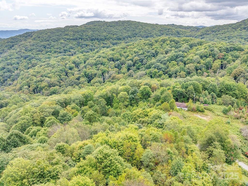 7130 Max Patch Road Hot Springs NC 28743