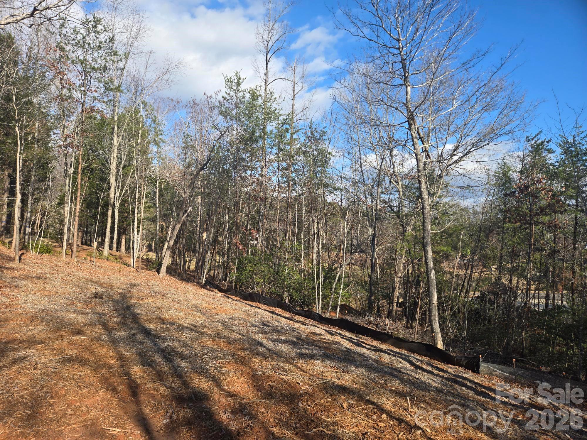 Lot 44 Dalton Court Lake Lure NC 28746