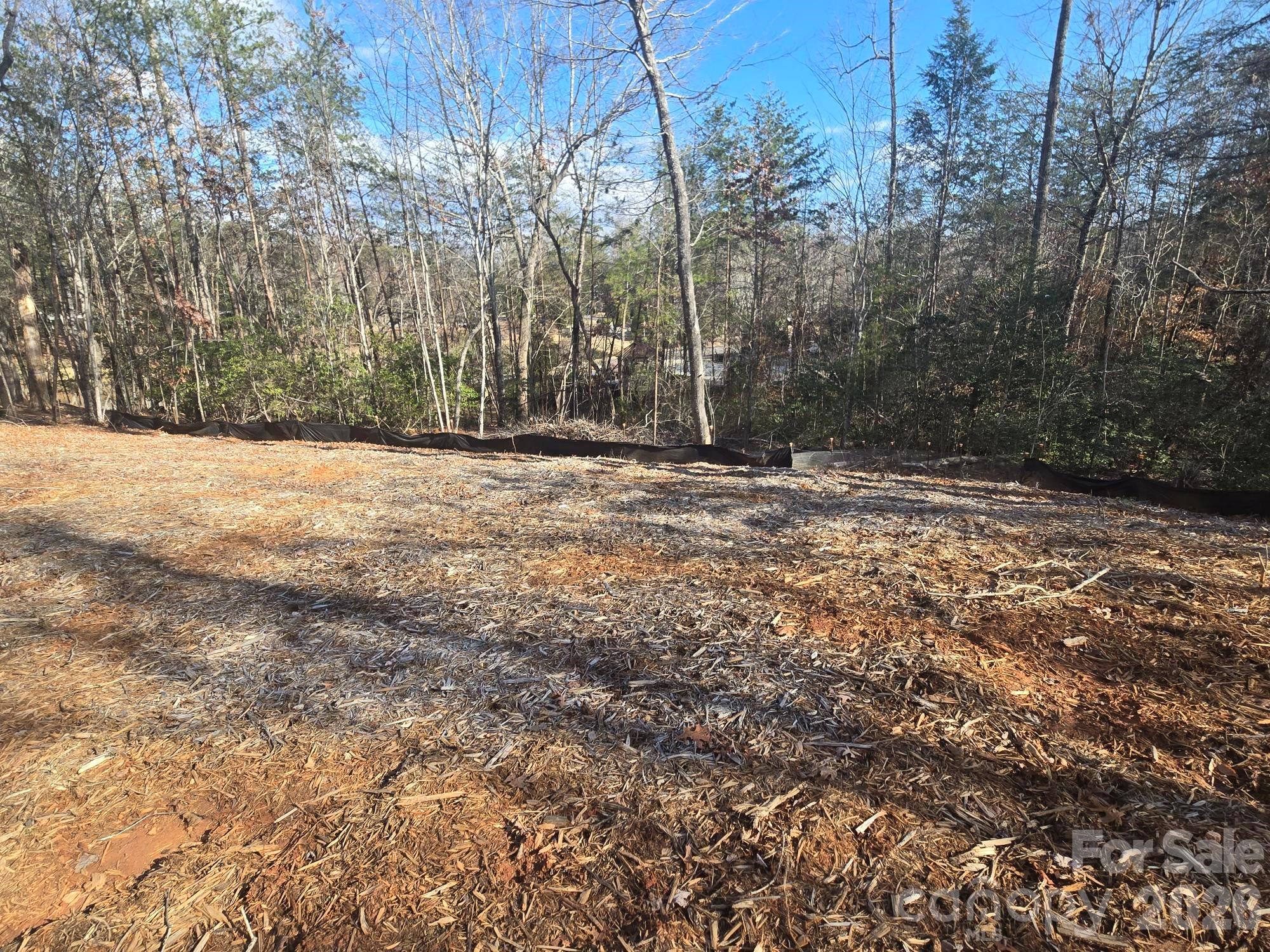 Lot 44 Dalton Court Lake Lure NC 28746
