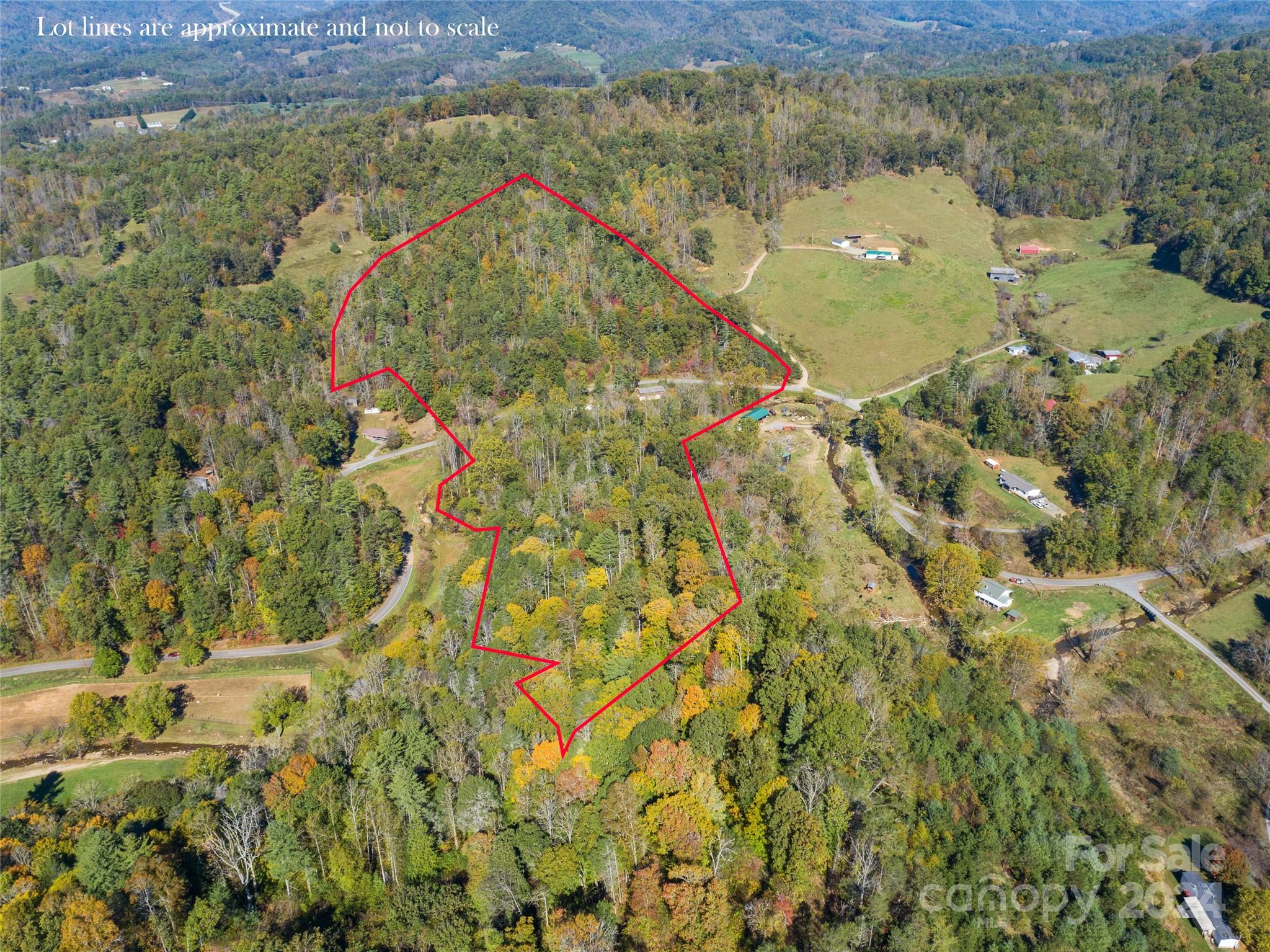 1316 & 1348 Paint Fork Road Mars Hill NC 28754