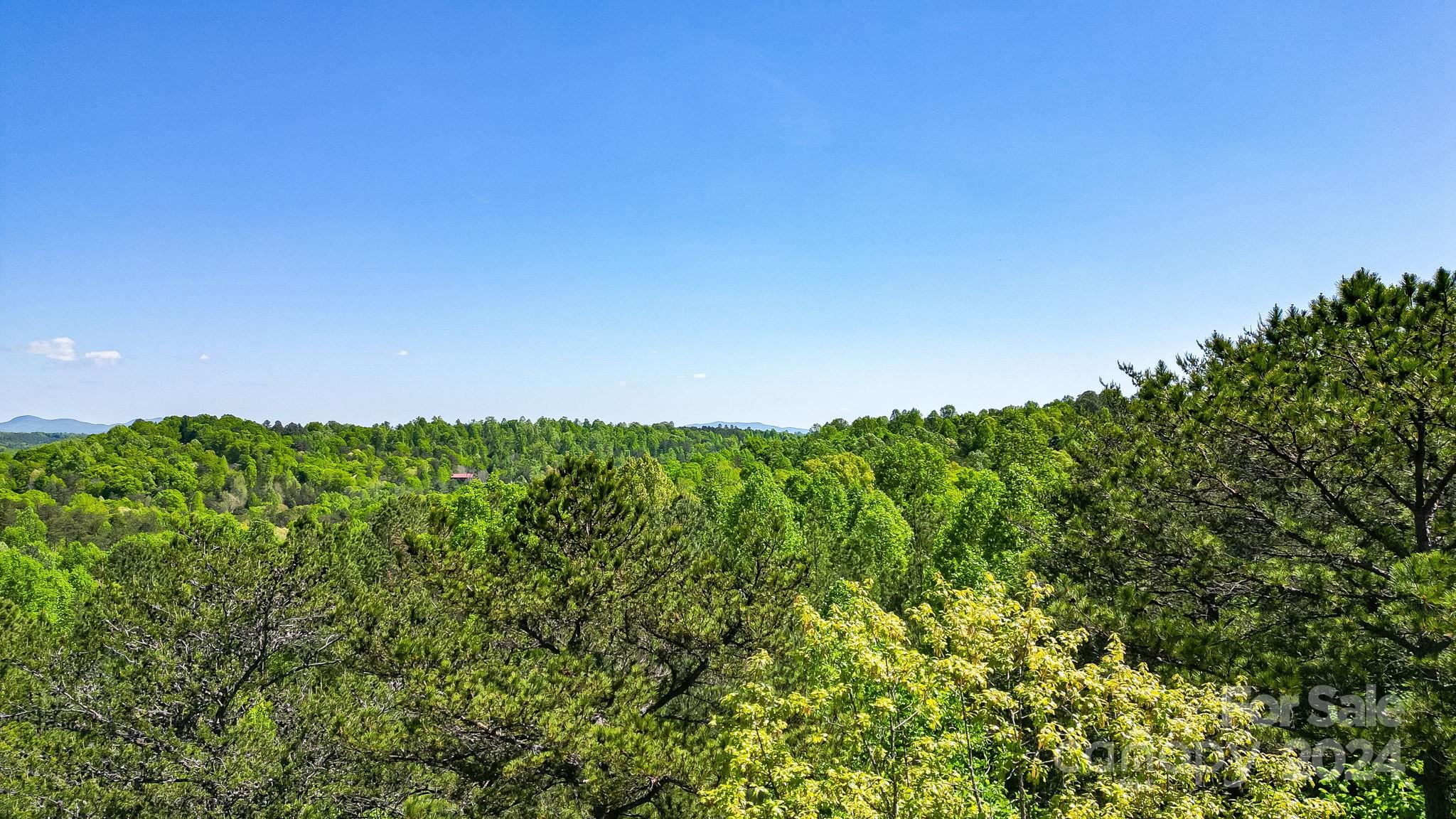 0 W T Wilkins Road Rutherfordton NC 28139