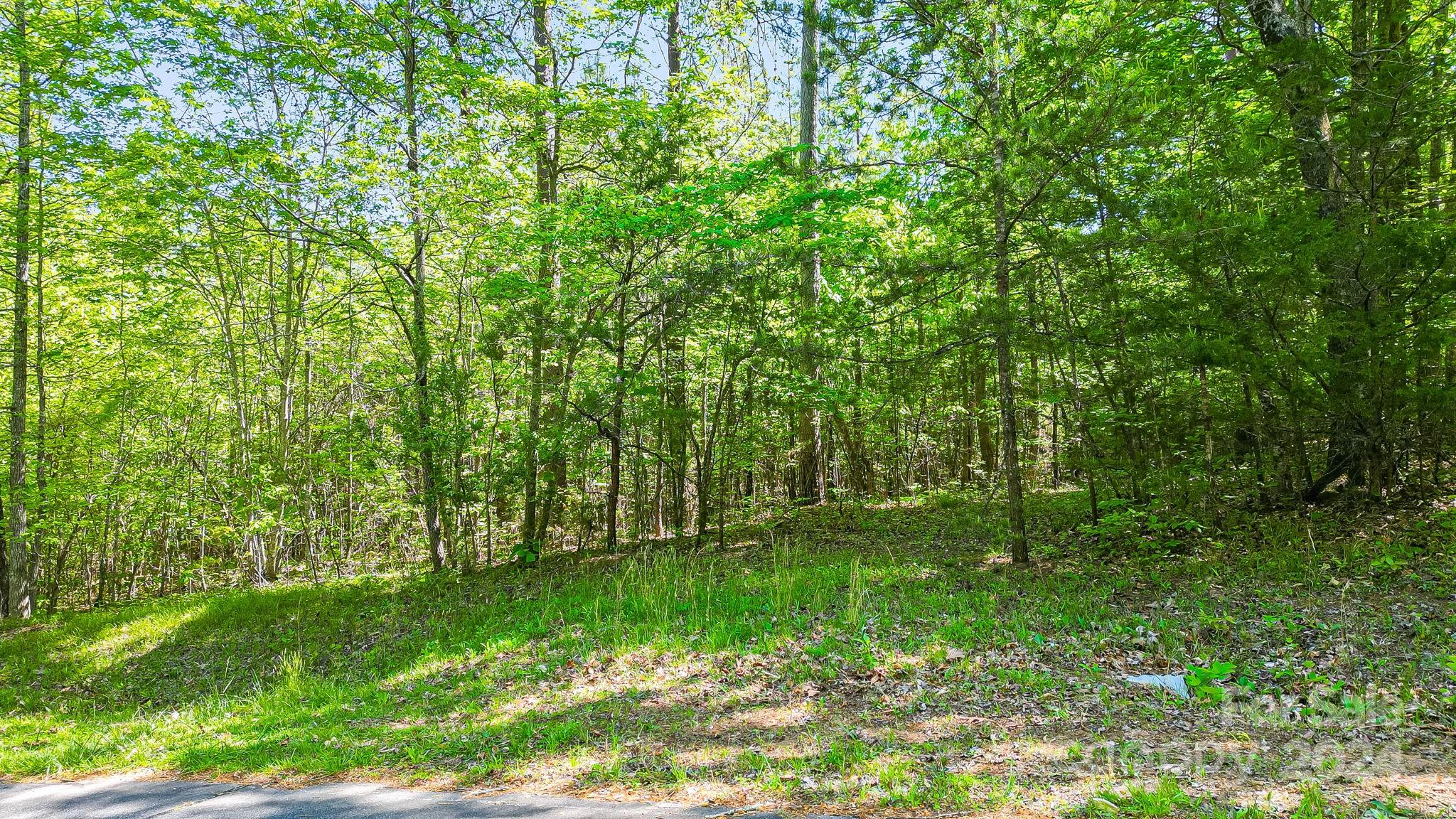 0 W T Wilkins Road Rutherfordton NC 28139