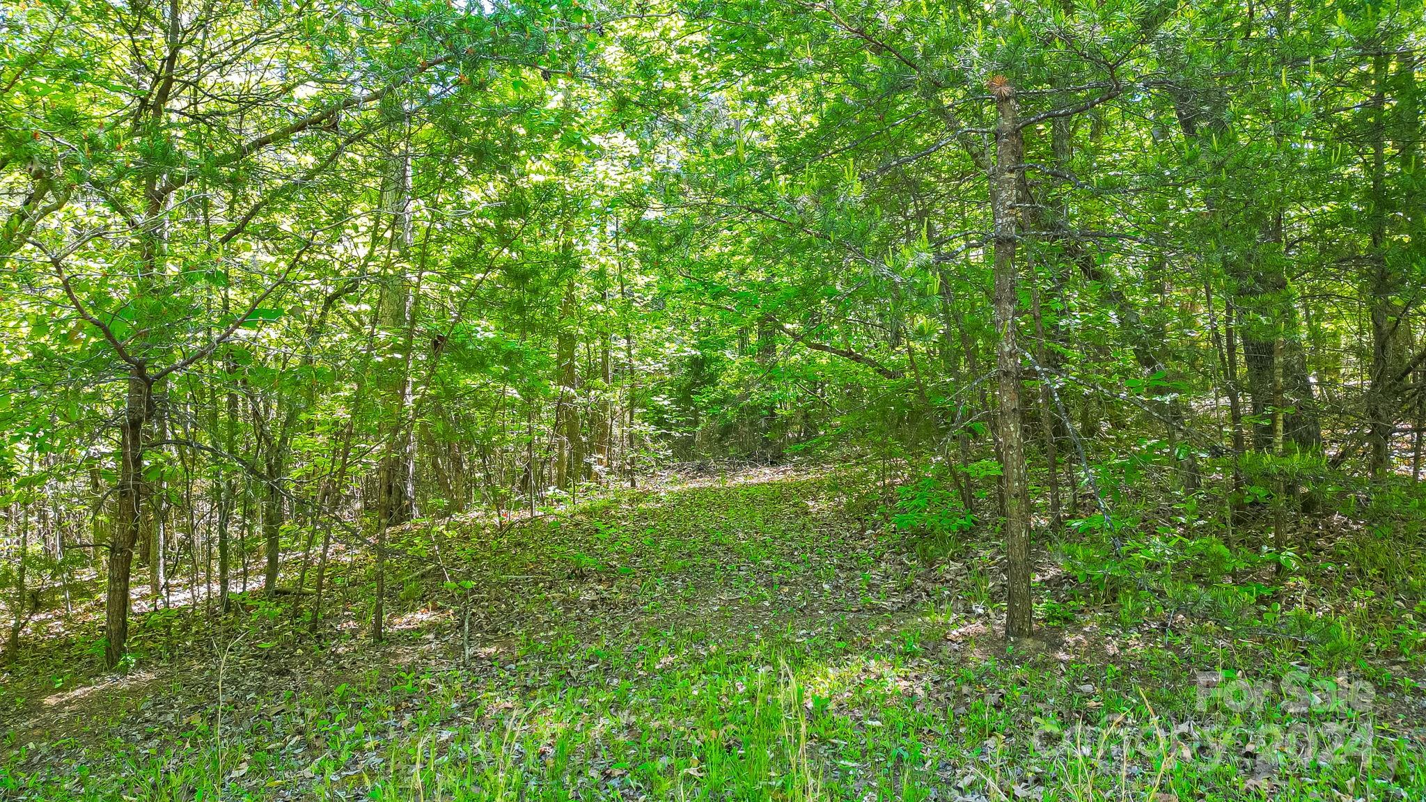 0 W T Wilkins Road Rutherfordton NC 28139