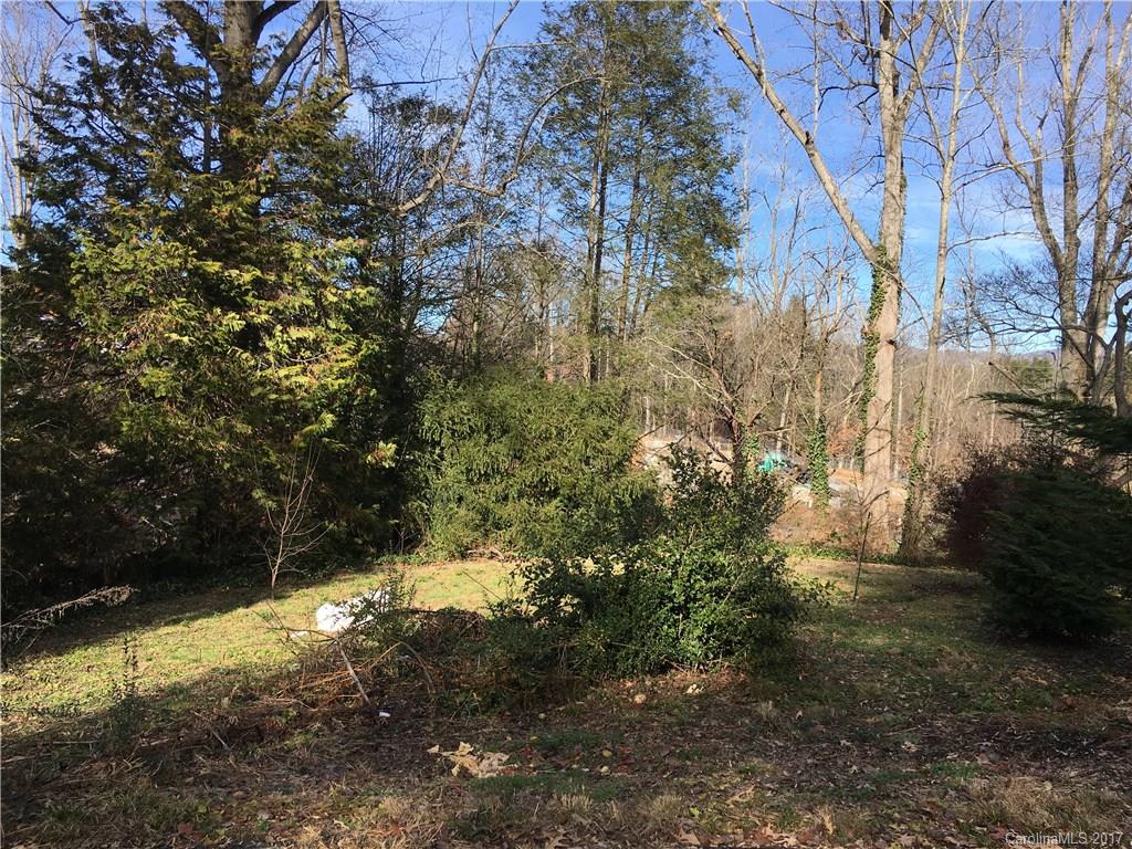63 Panola Street Asheville NC 28801