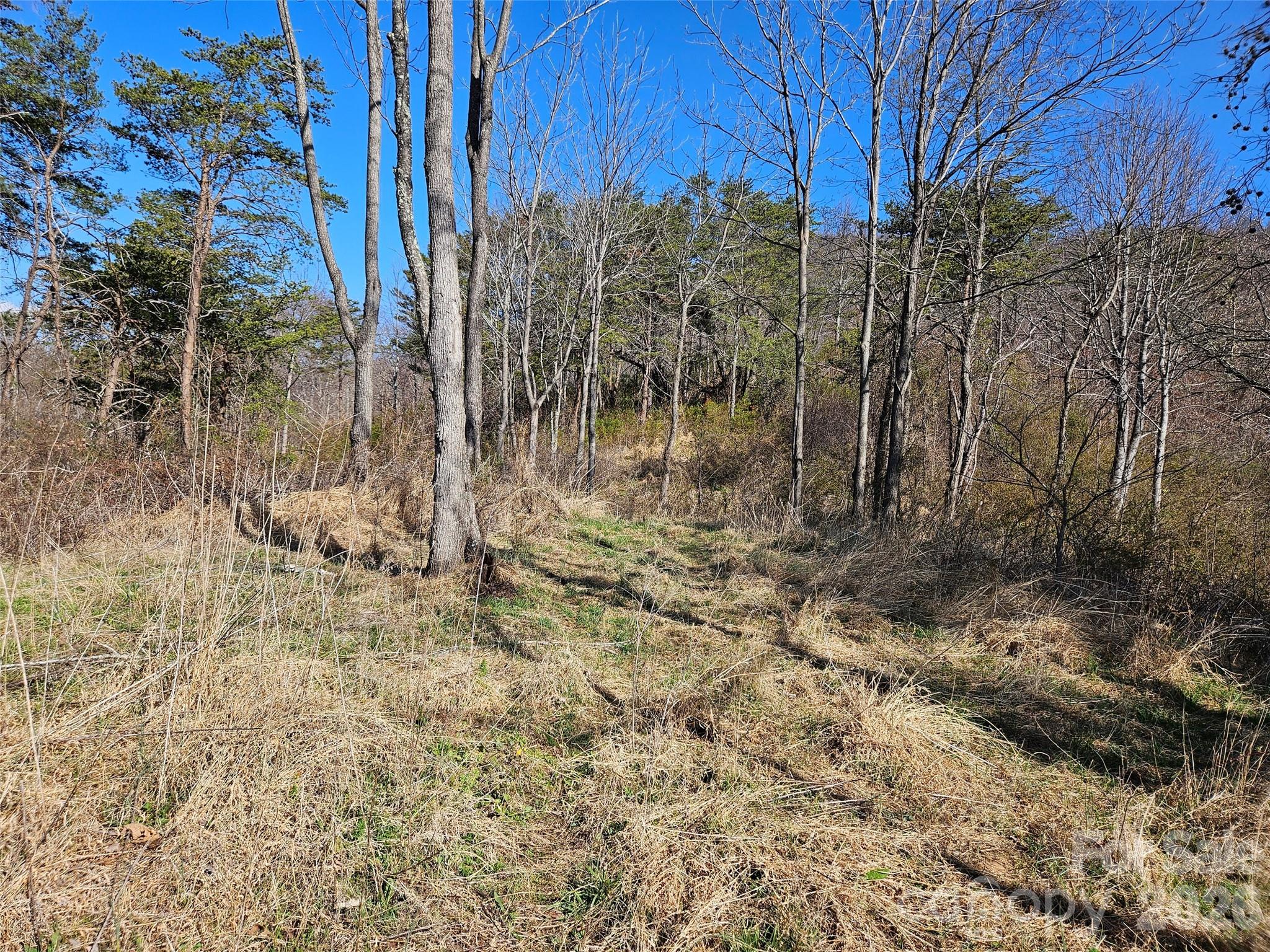 989 High Rock View Drive Canton NC 28716