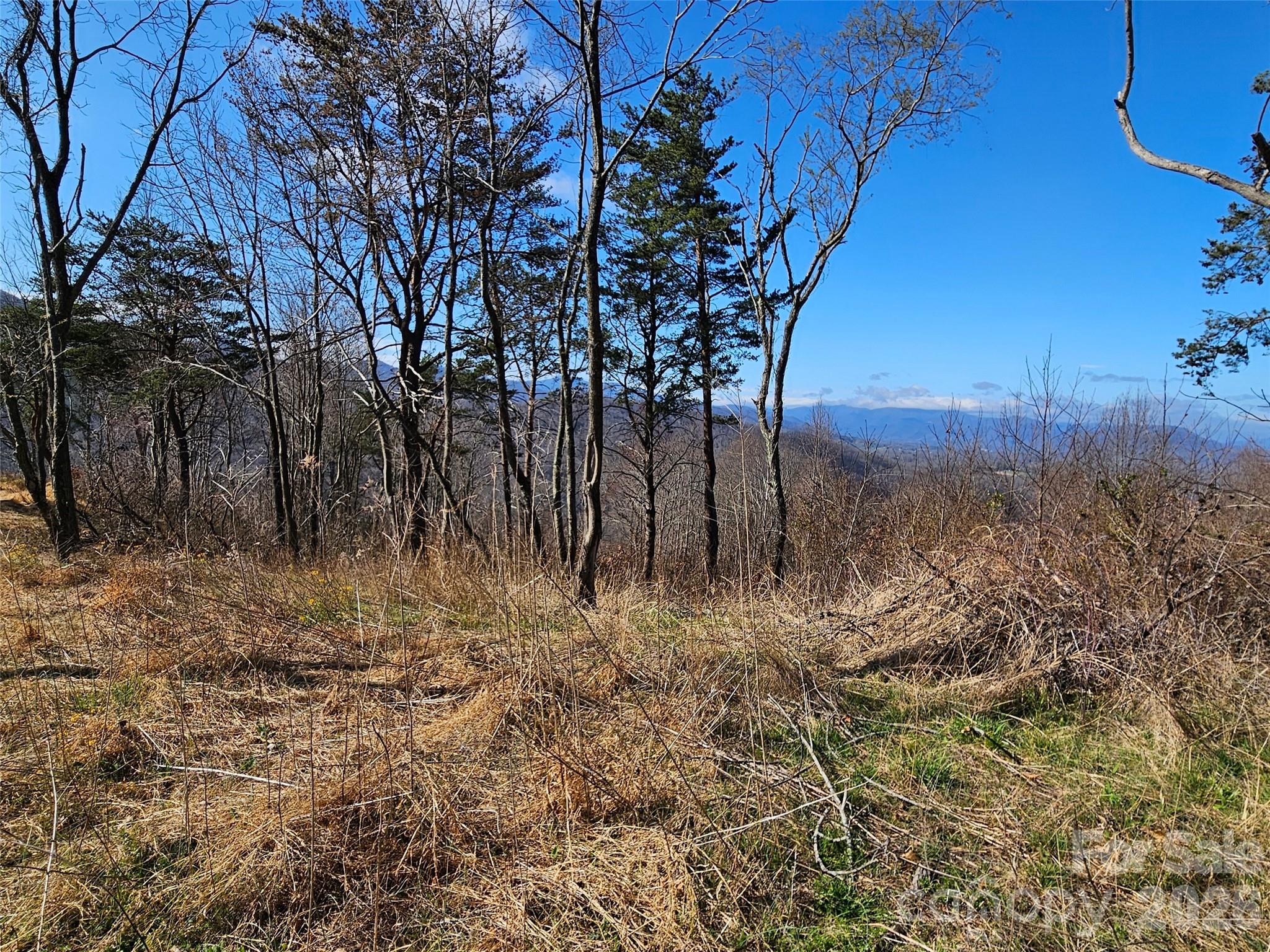 989 High Rock View Drive Canton NC 28716