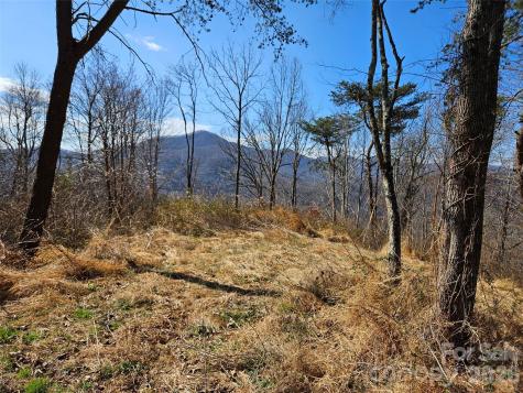 989 High Rock View Drive Canton NC 28716