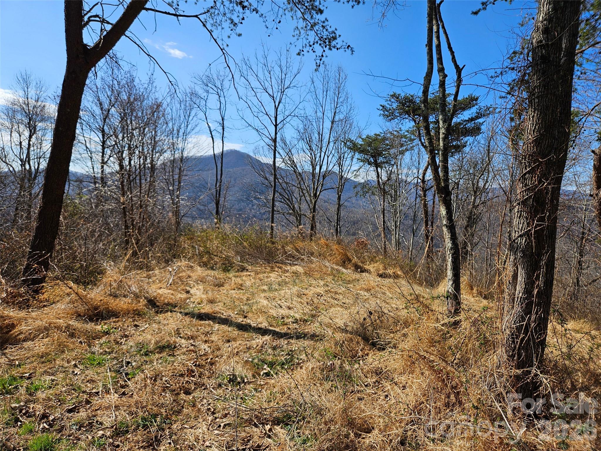 989 High Rock View Drive Canton NC 28716