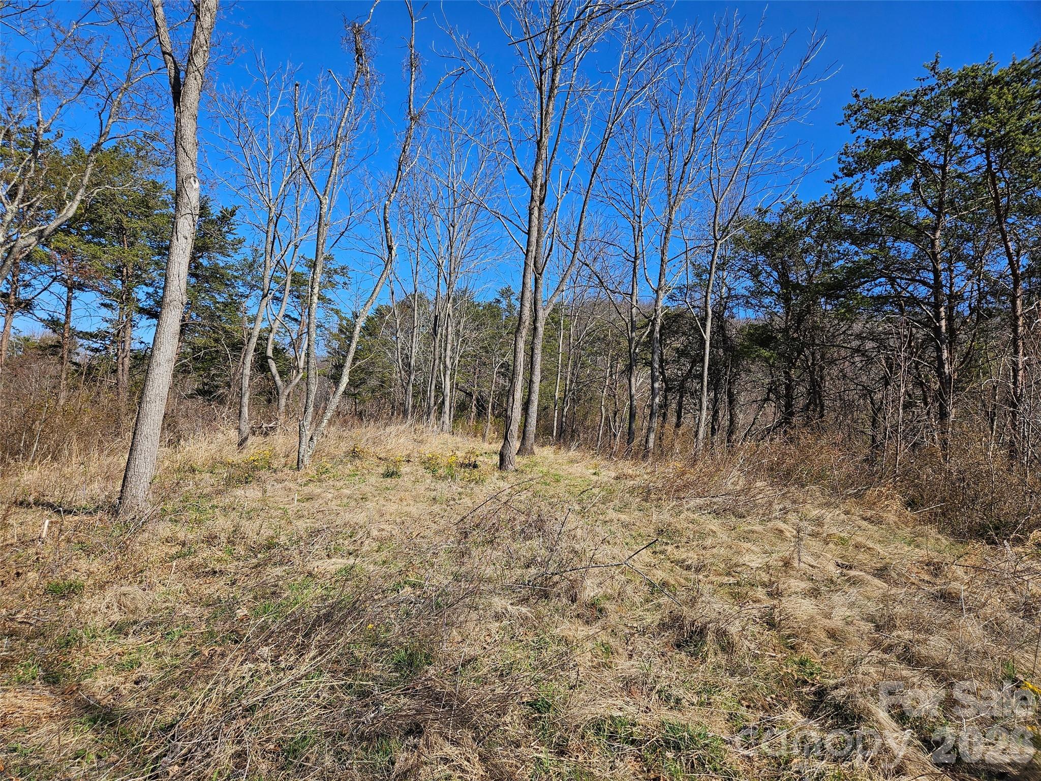 989 High Rock View Drive Canton NC 28716