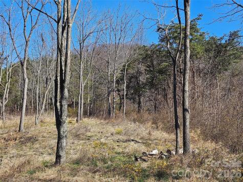 989 High Rock View Drive Canton NC 28716