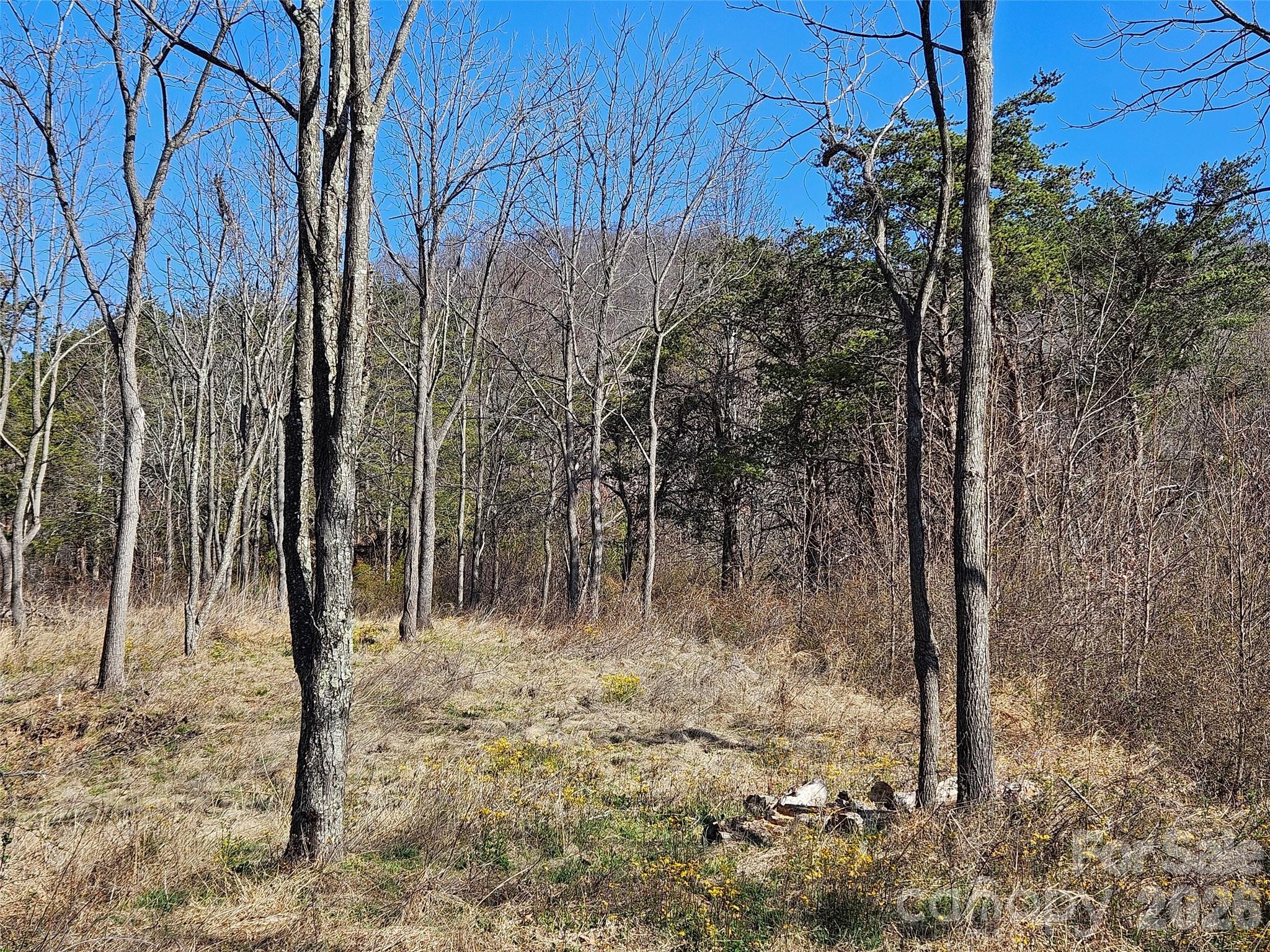 989 High Rock View Drive Canton NC 28716