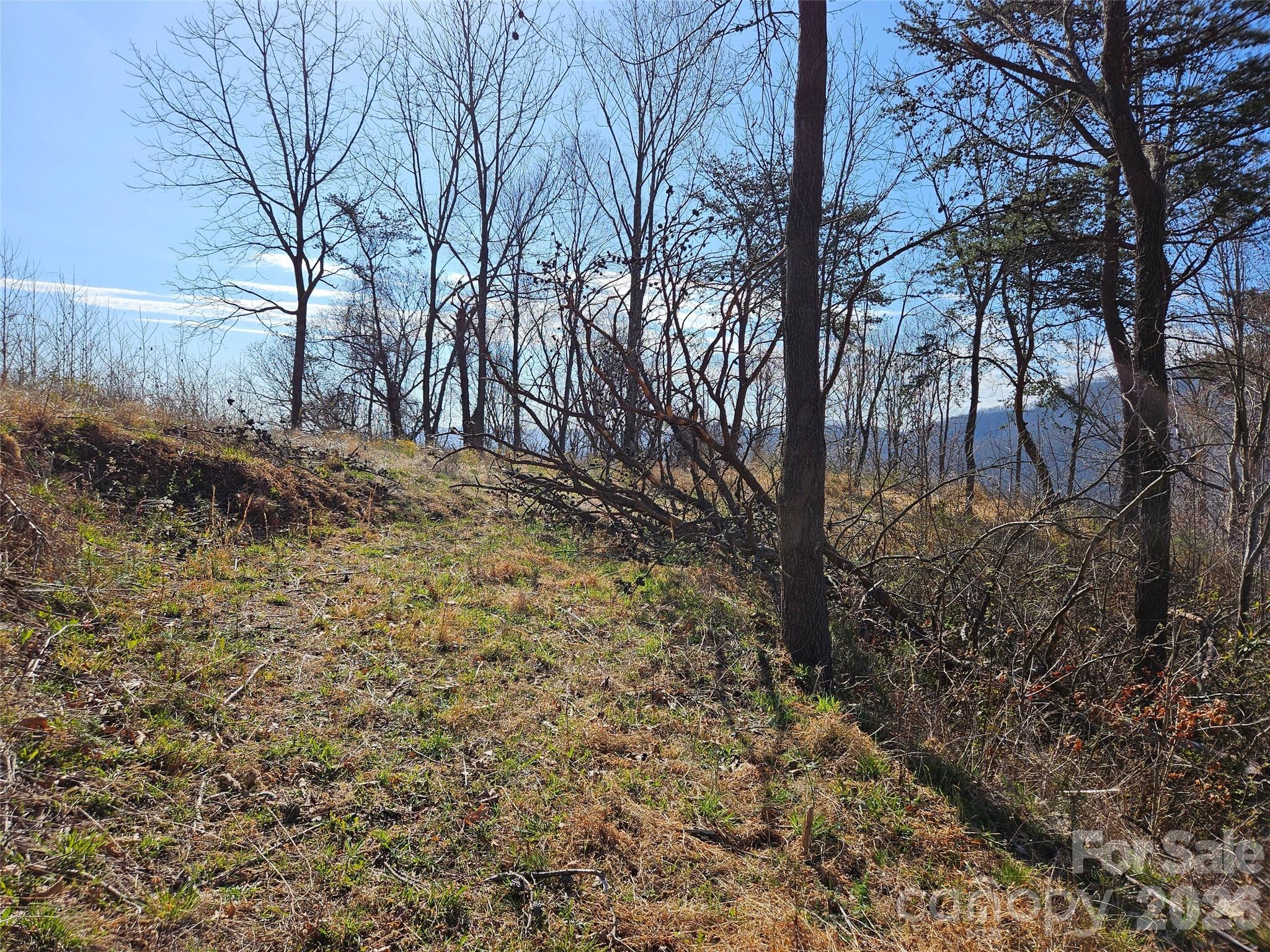 989 High Rock View Drive Canton NC 28716