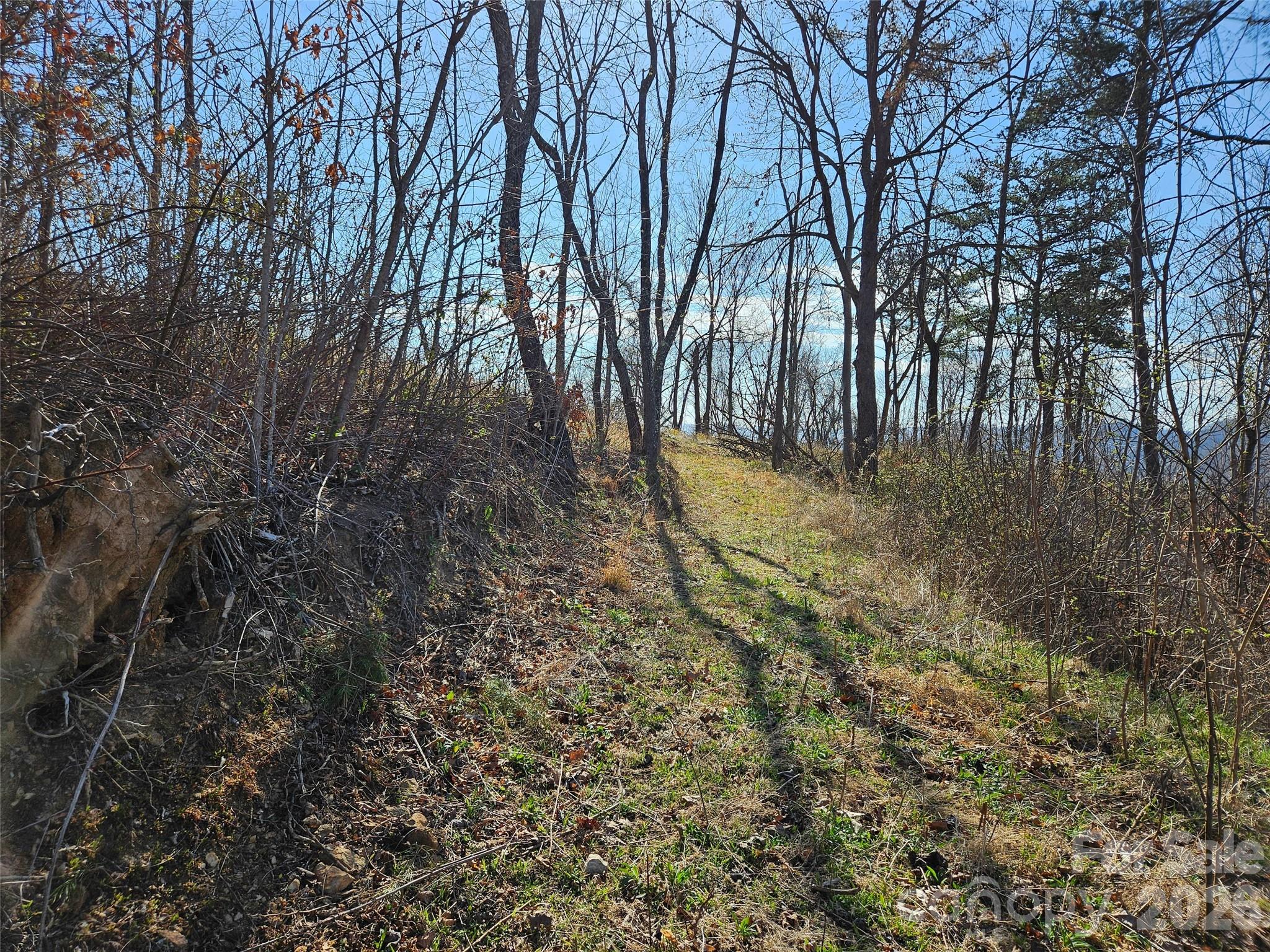 989 High Rock View Drive Canton NC 28716