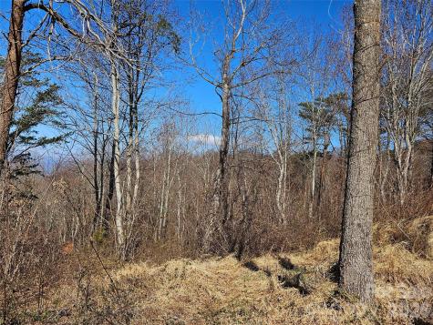 989 High Rock View Drive Canton NC 28716