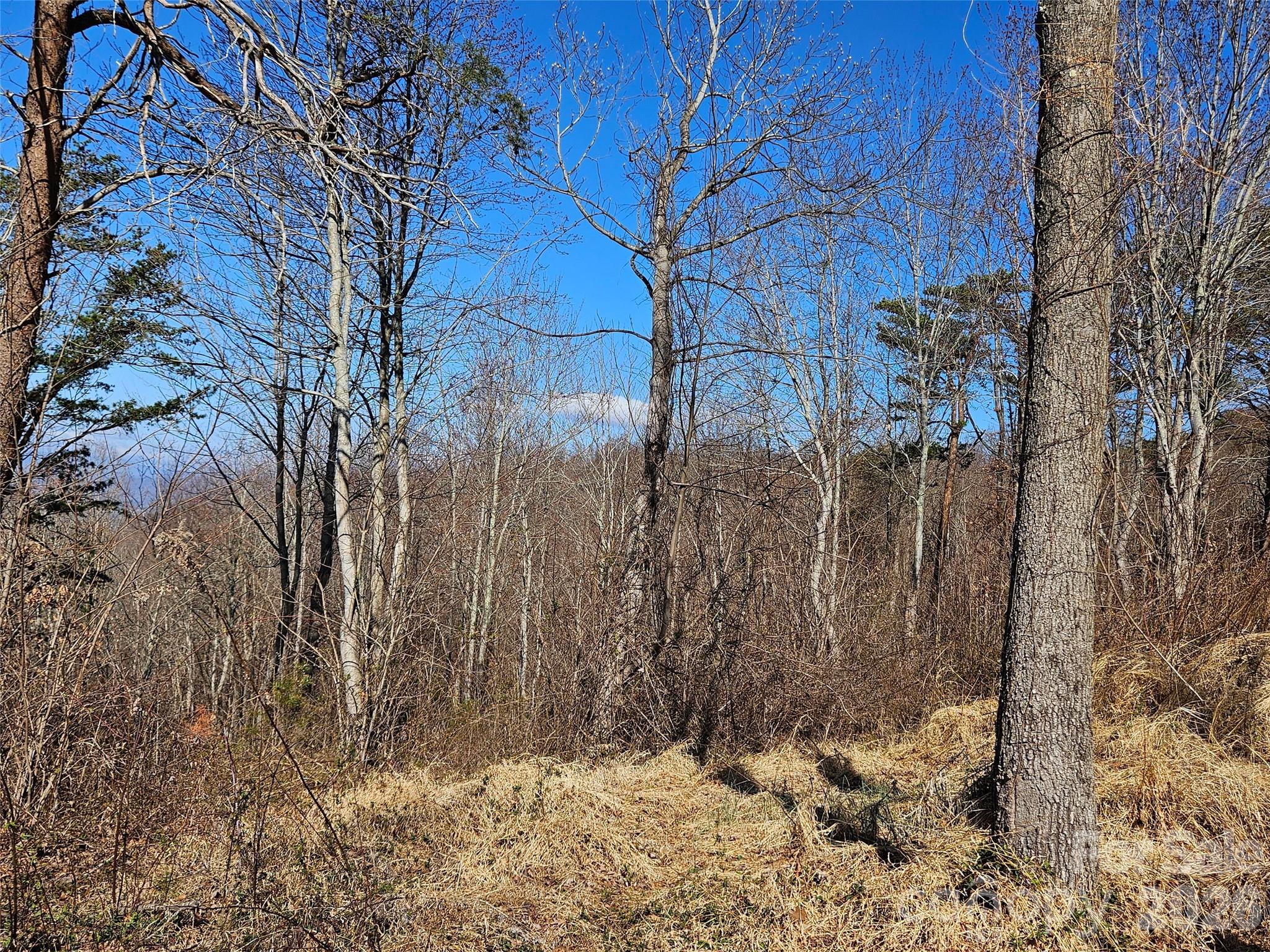 989 High Rock View Drive Canton NC 28716