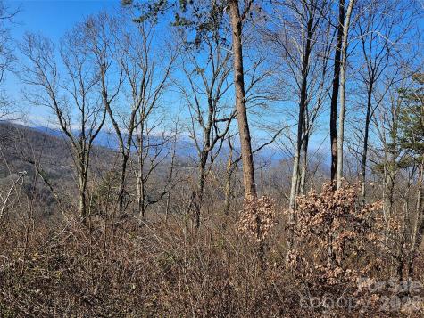 989 High Rock View Drive Canton NC 28716