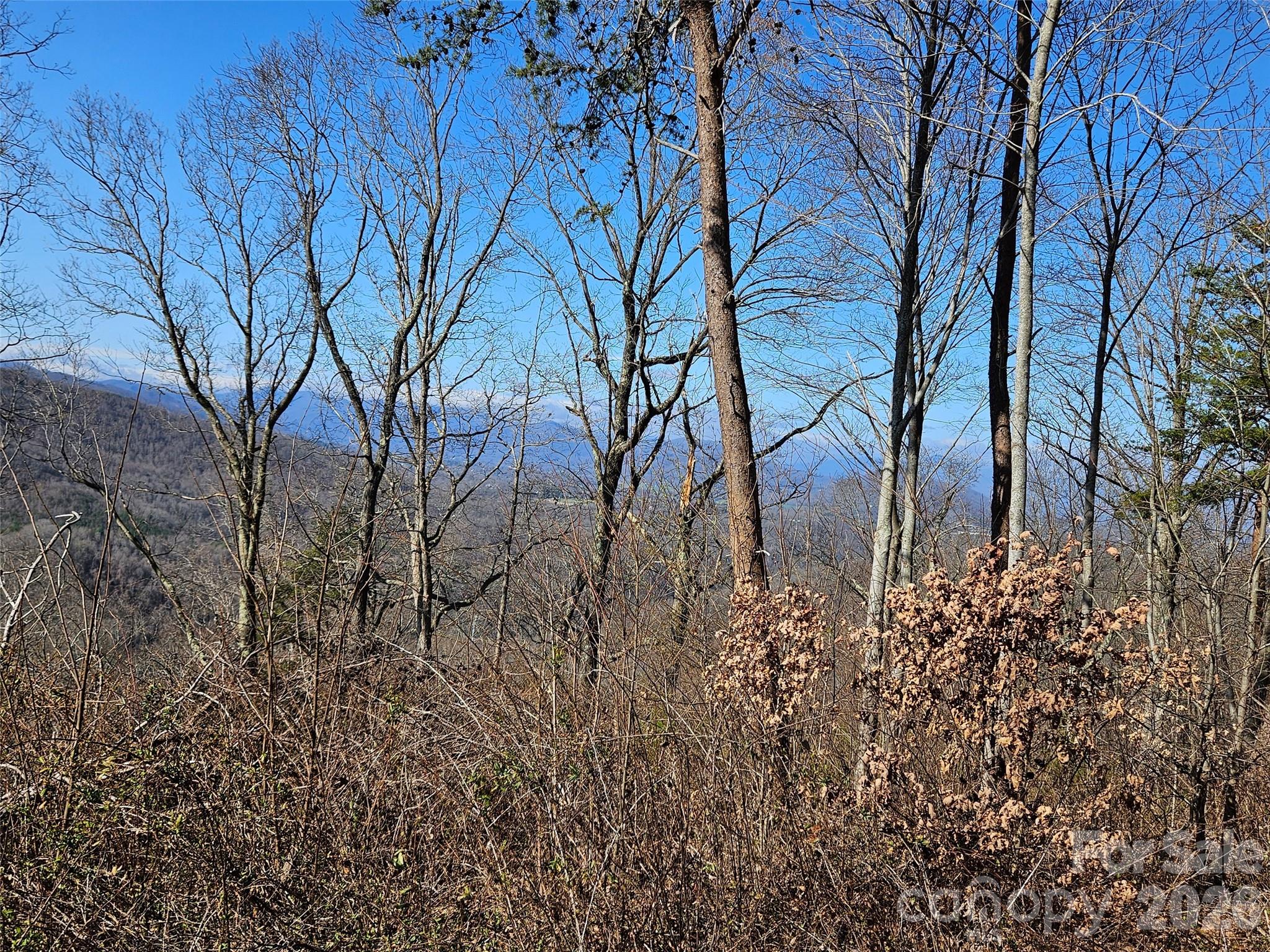 989 High Rock View Drive Canton NC 28716