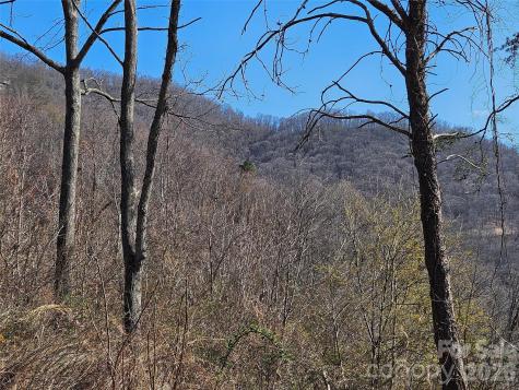989 High Rock View Drive Canton NC 28716