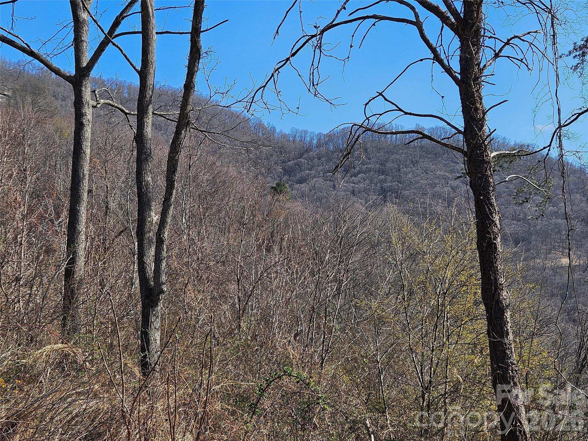 989 High Rock View Drive Canton NC 28716