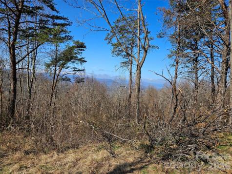 989 High Rock View Drive Canton NC 28716