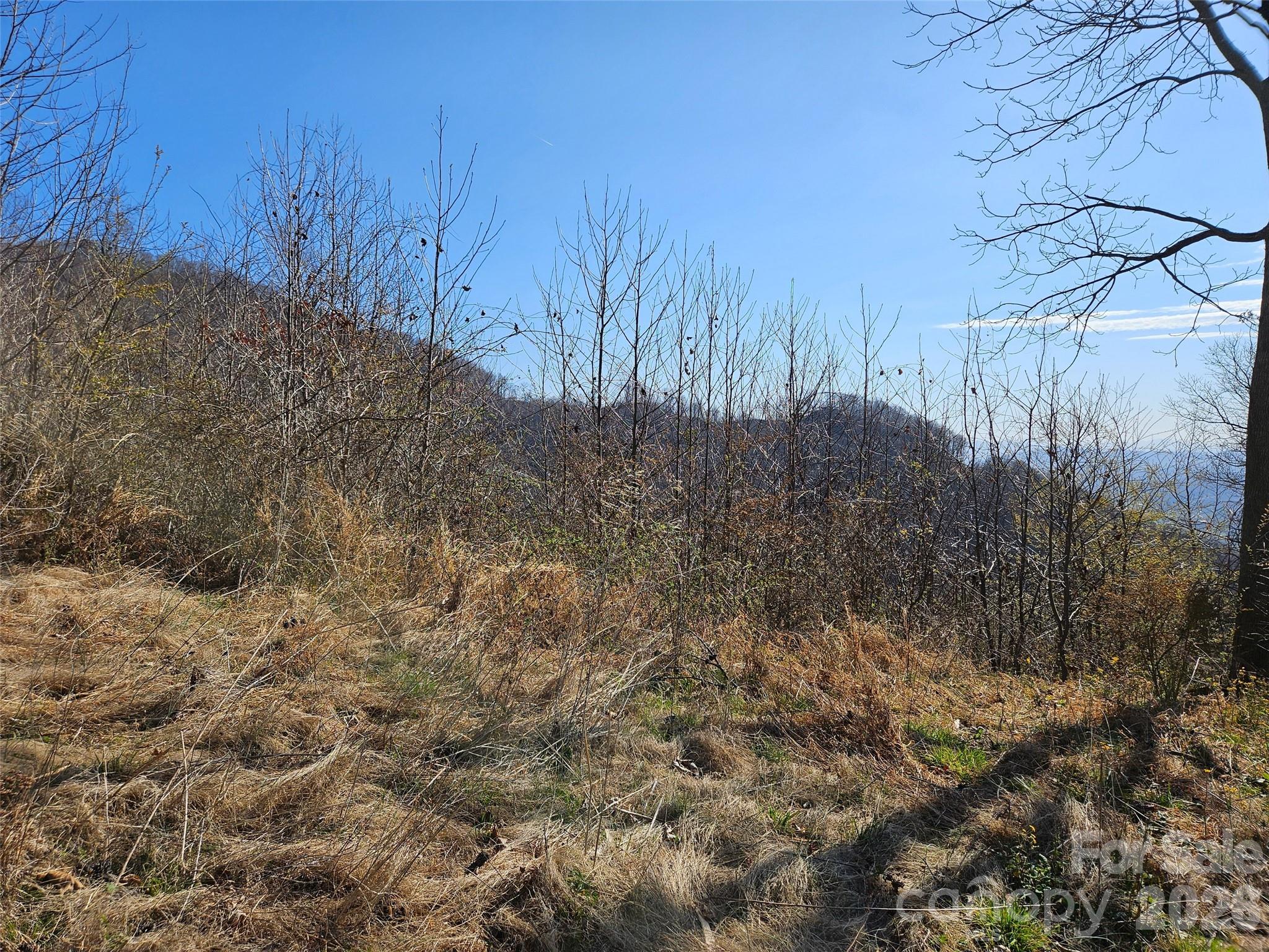 989 High Rock View Drive Canton NC 28716