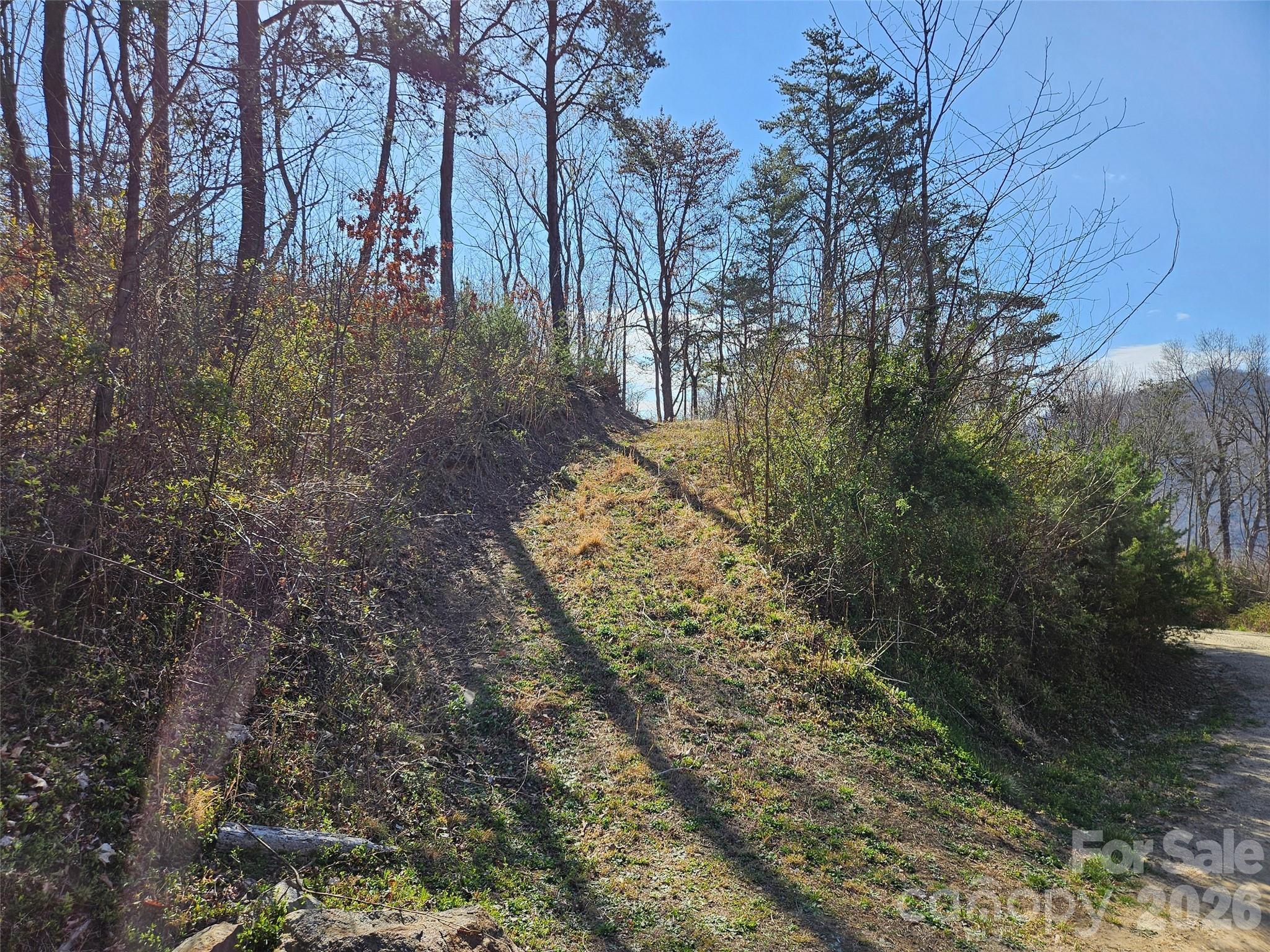 989 High Rock View Drive Canton NC 28716
