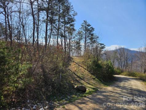 989 High Rock View Drive Canton NC 28716