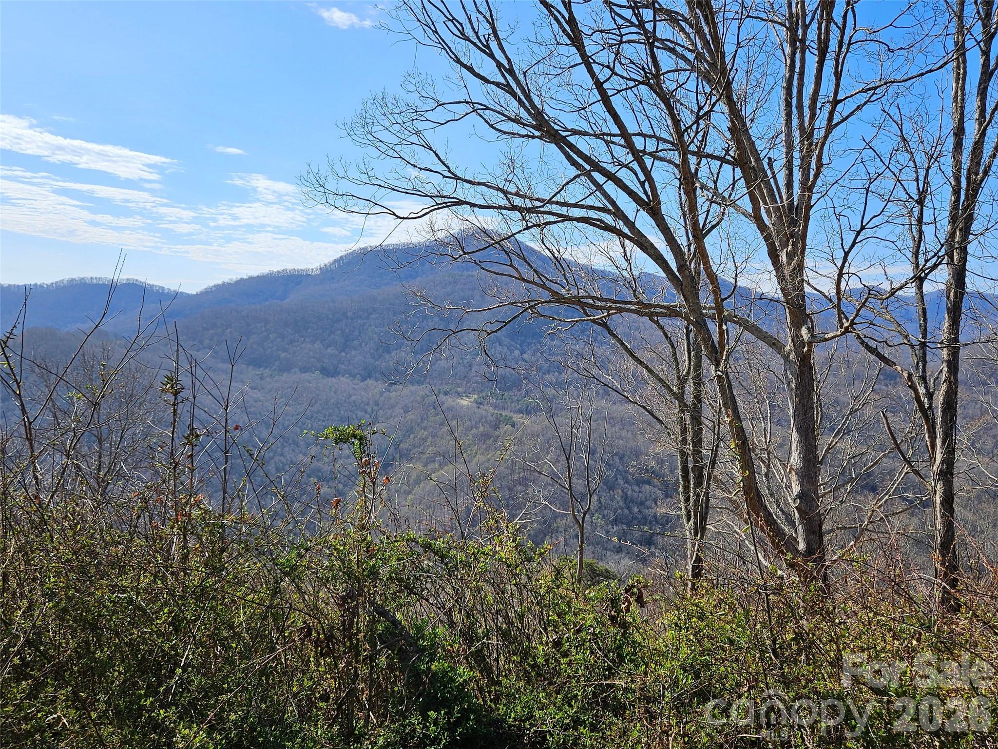 989 High Rock View Drive Canton NC 28716