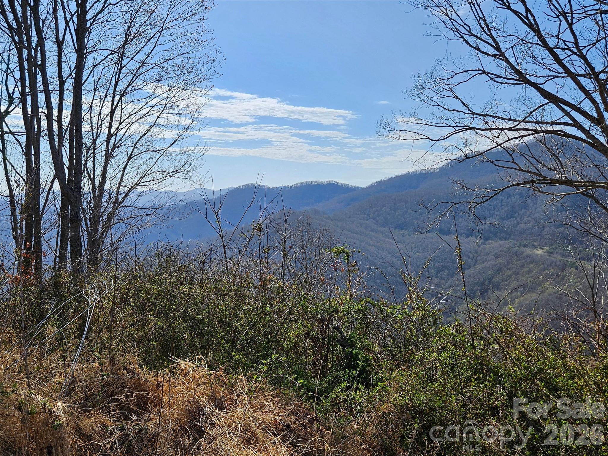 989 High Rock View Drive Canton NC 28716