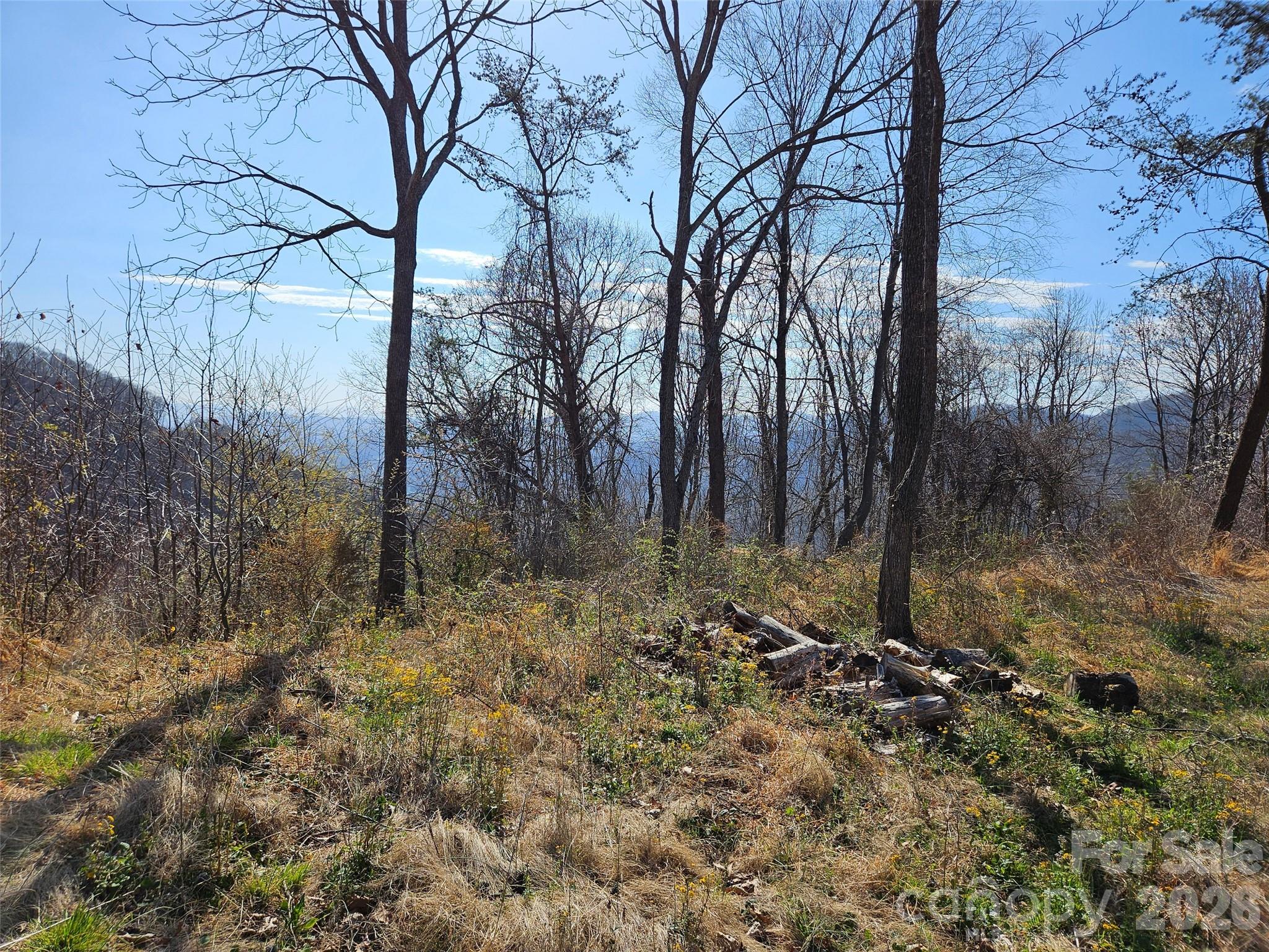 989 High Rock View Drive Canton NC 28716