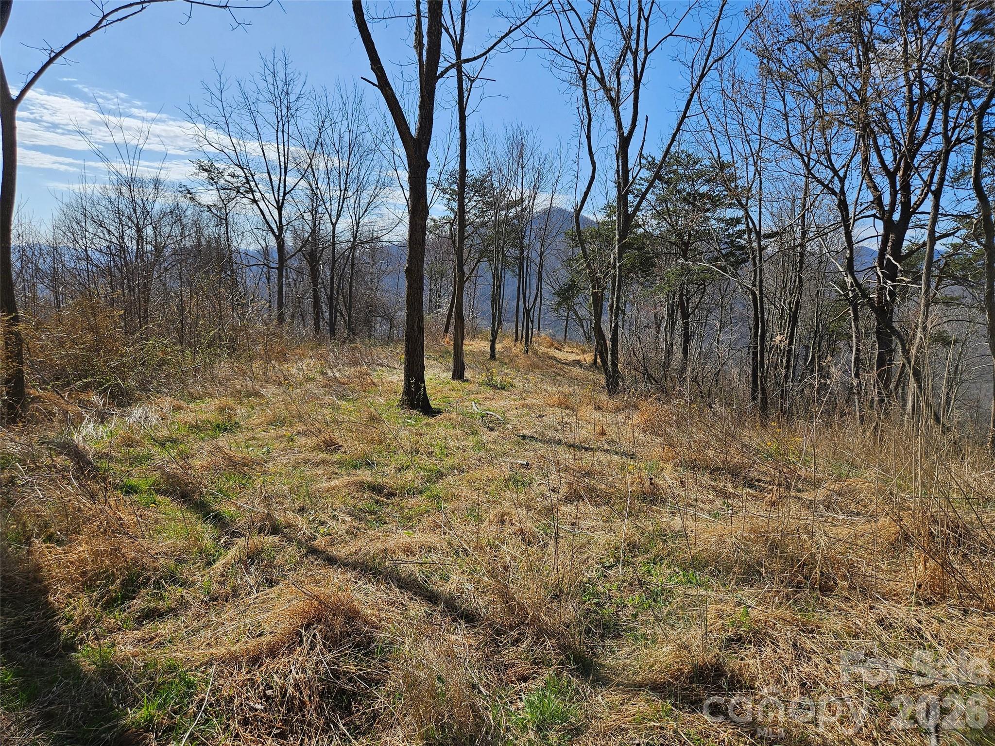 989 High Rock View Drive Canton NC 28716