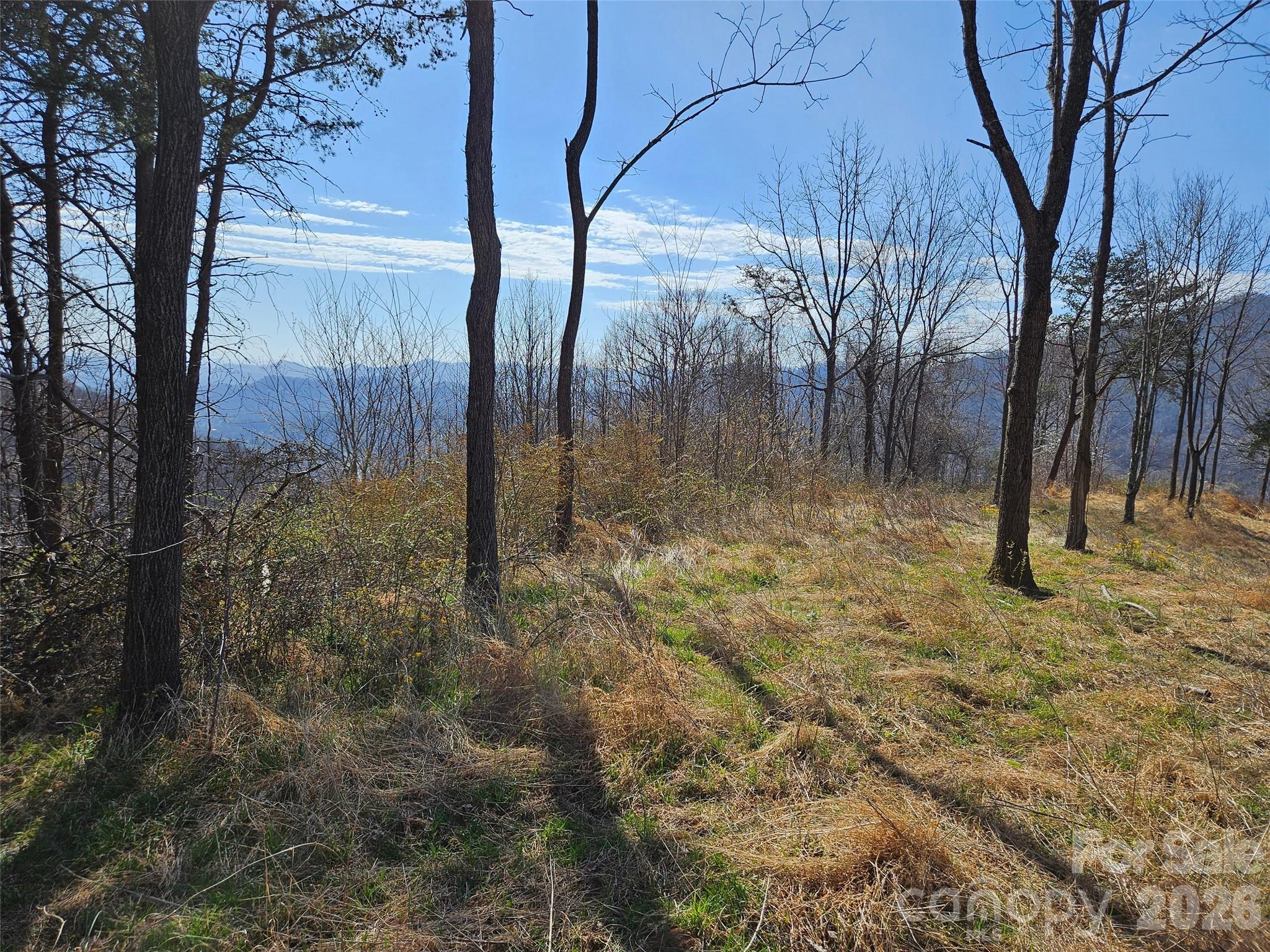 989 High Rock View Drive Canton NC 28716