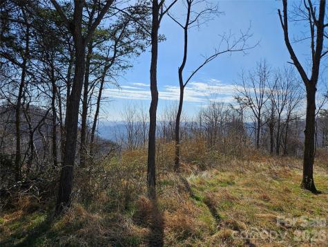 989 High Rock View Drive Canton NC 28716