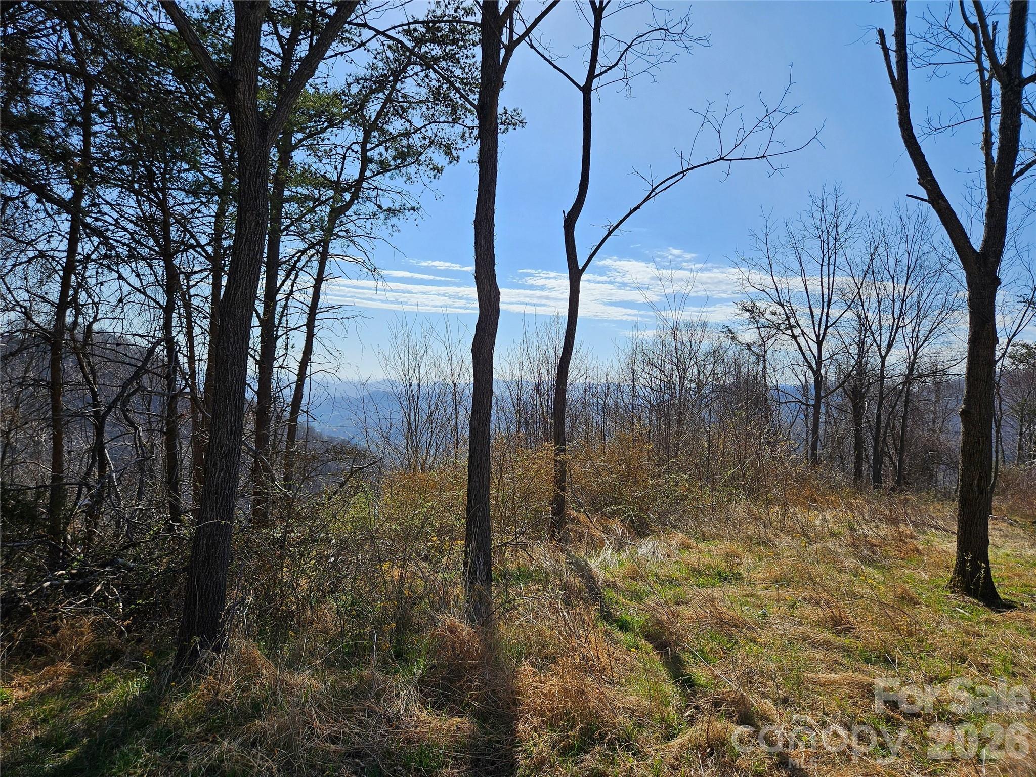 989 High Rock View Drive Canton NC 28716