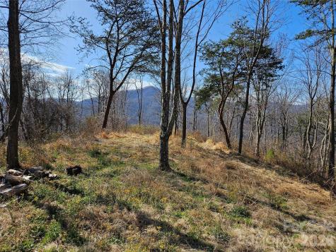 989 High Rock View Drive Canton NC 28716