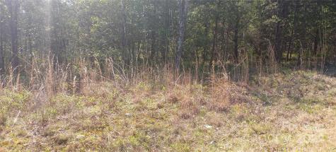 Tbd Biggerstaff Loop Nebo NC 28761