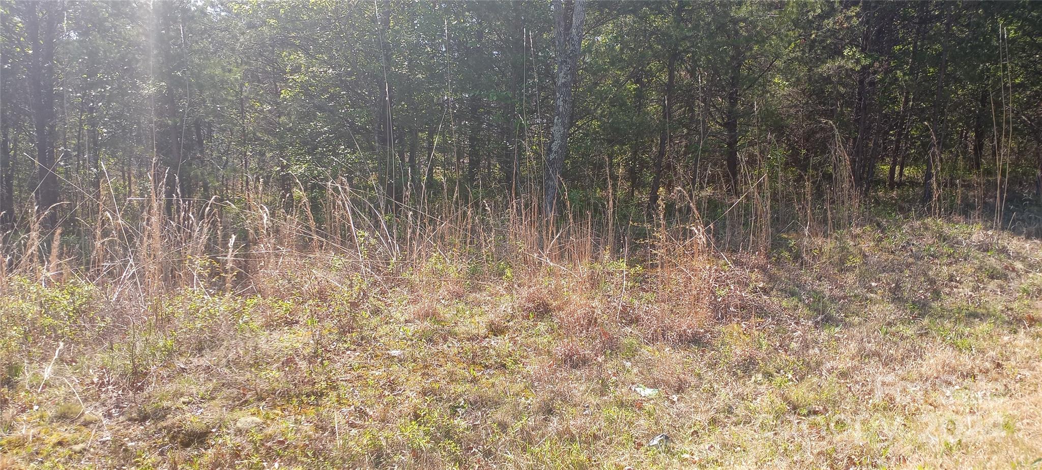 Tbd Biggerstaff Loop Nebo NC 28761