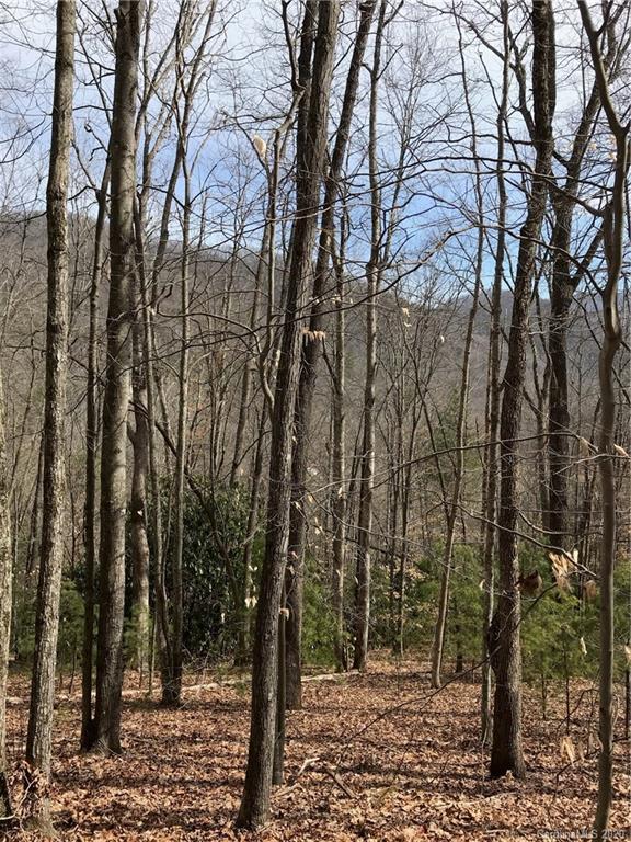 92 Davis Chapel Road Candler NC 28715