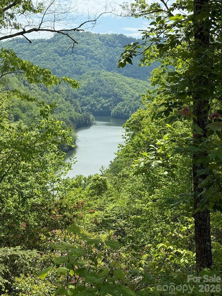 0 Fontana Lake Way Bryson City NC 28713