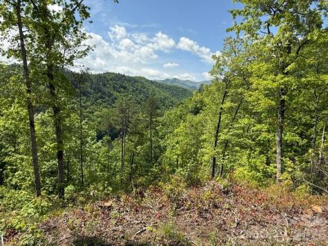 0 Fontana Lake Way Bryson City NC 28713