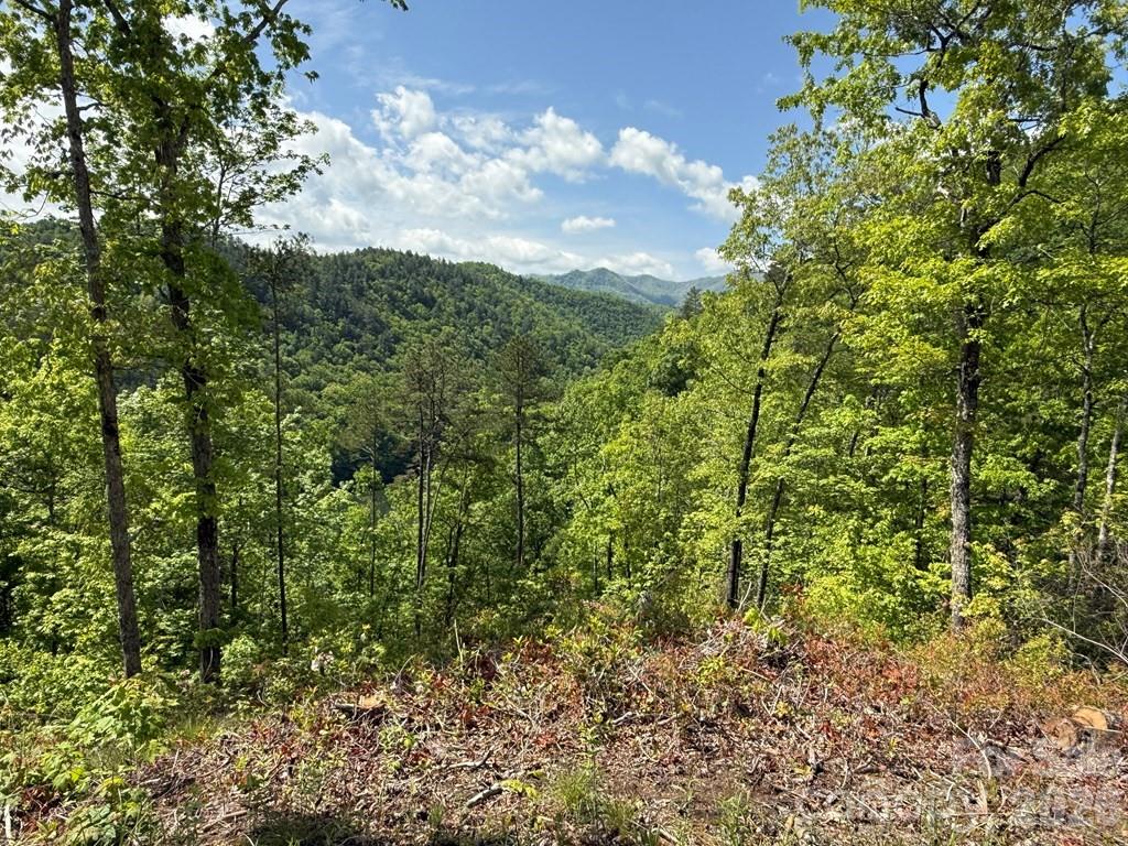 0 Fontana Lake Way Bryson City NC 28713